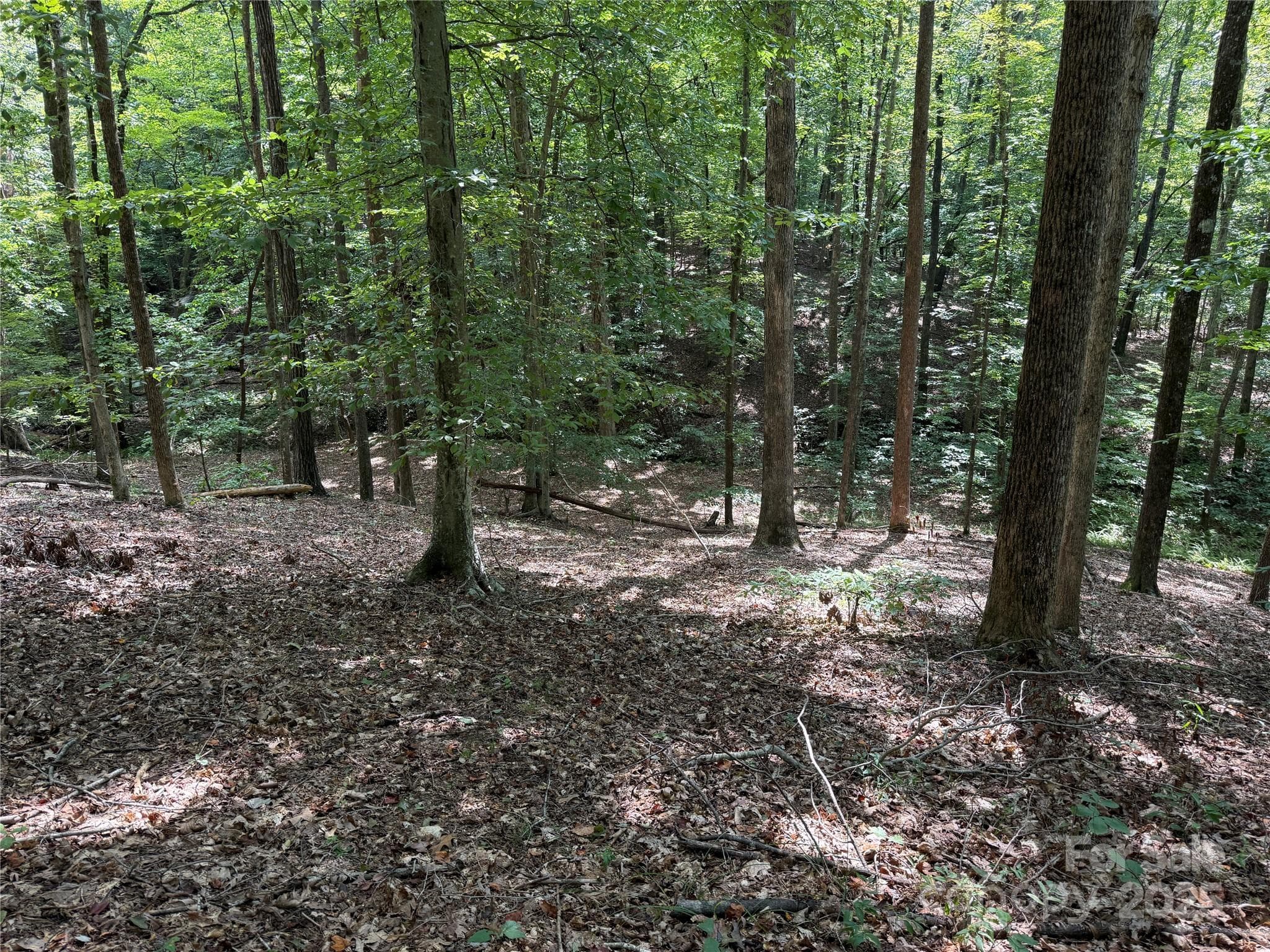 Lot at Nebo, photo 2 of 31