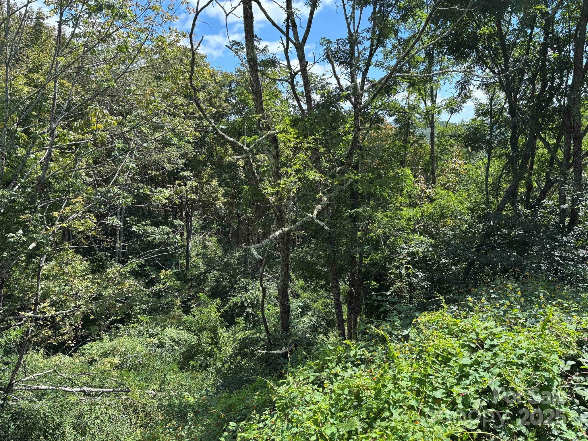Lot at TBD Linhigh Drive, Newland, photo 2 of 4