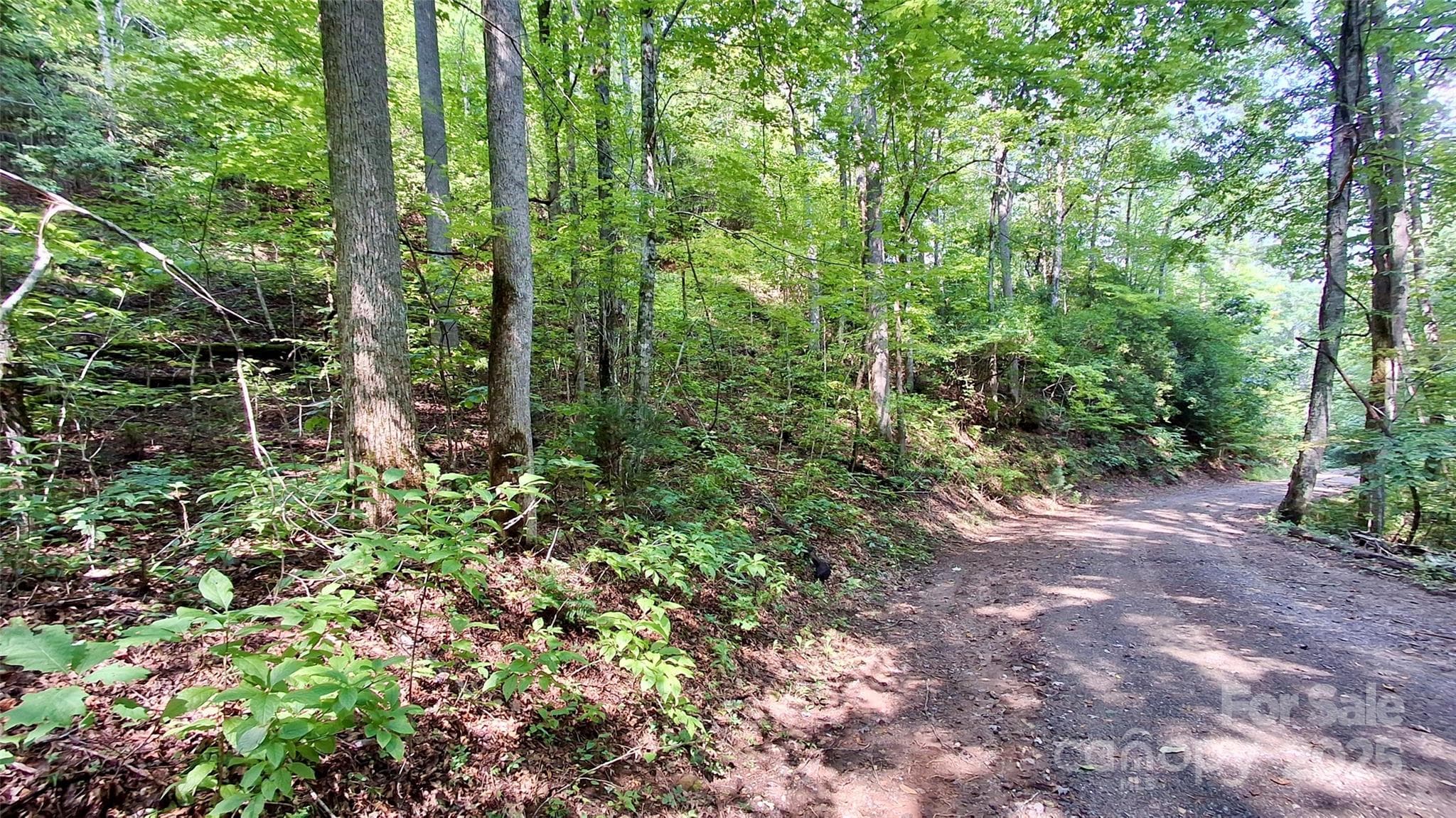 Lot at Sylva, photo 24 of 33