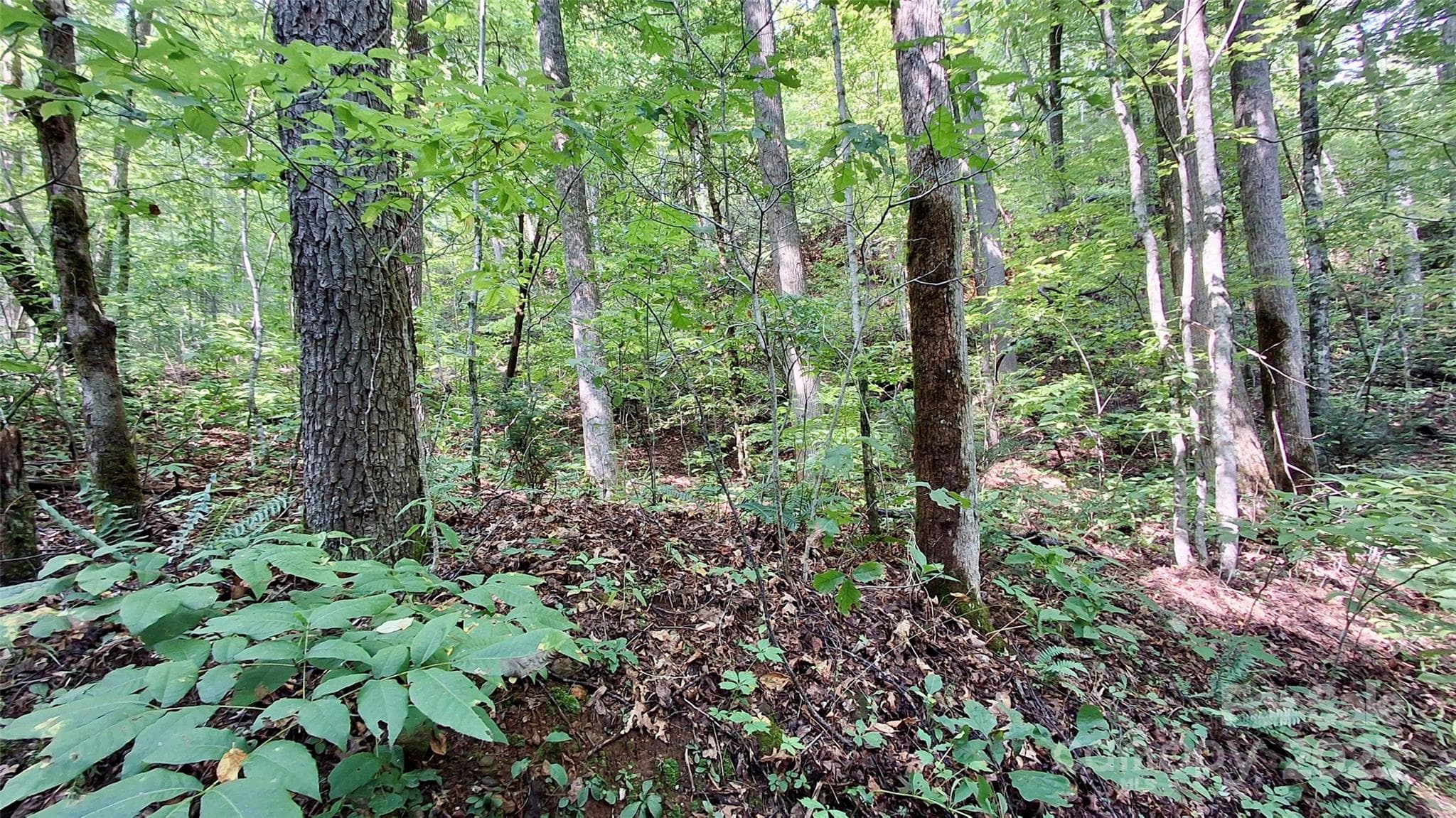 Lot at Sylva, photo 25 of 33
