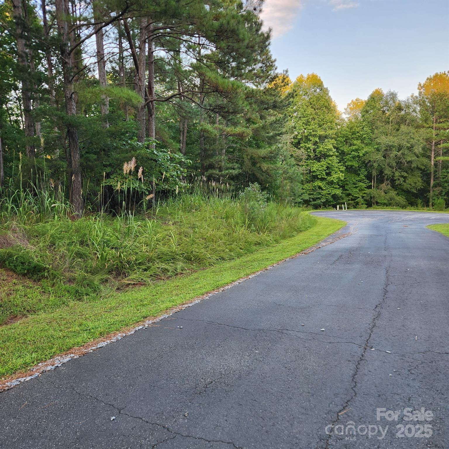 Lot at 115 Scenic Ridge Drive, Mooresboro, photo 2 of 9
