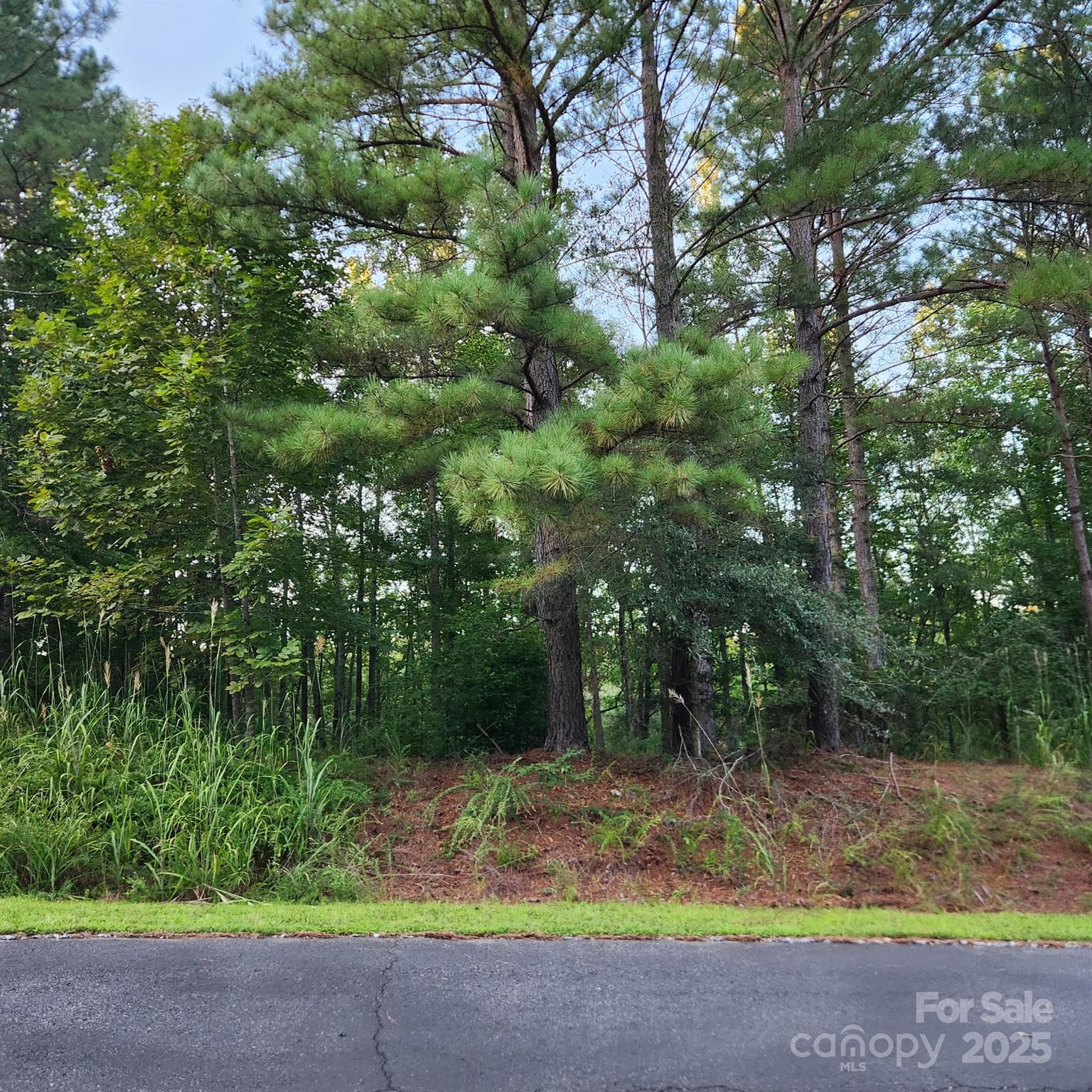 Lot at 115 Scenic Ridge Drive, Mooresboro, photo 3 of 9