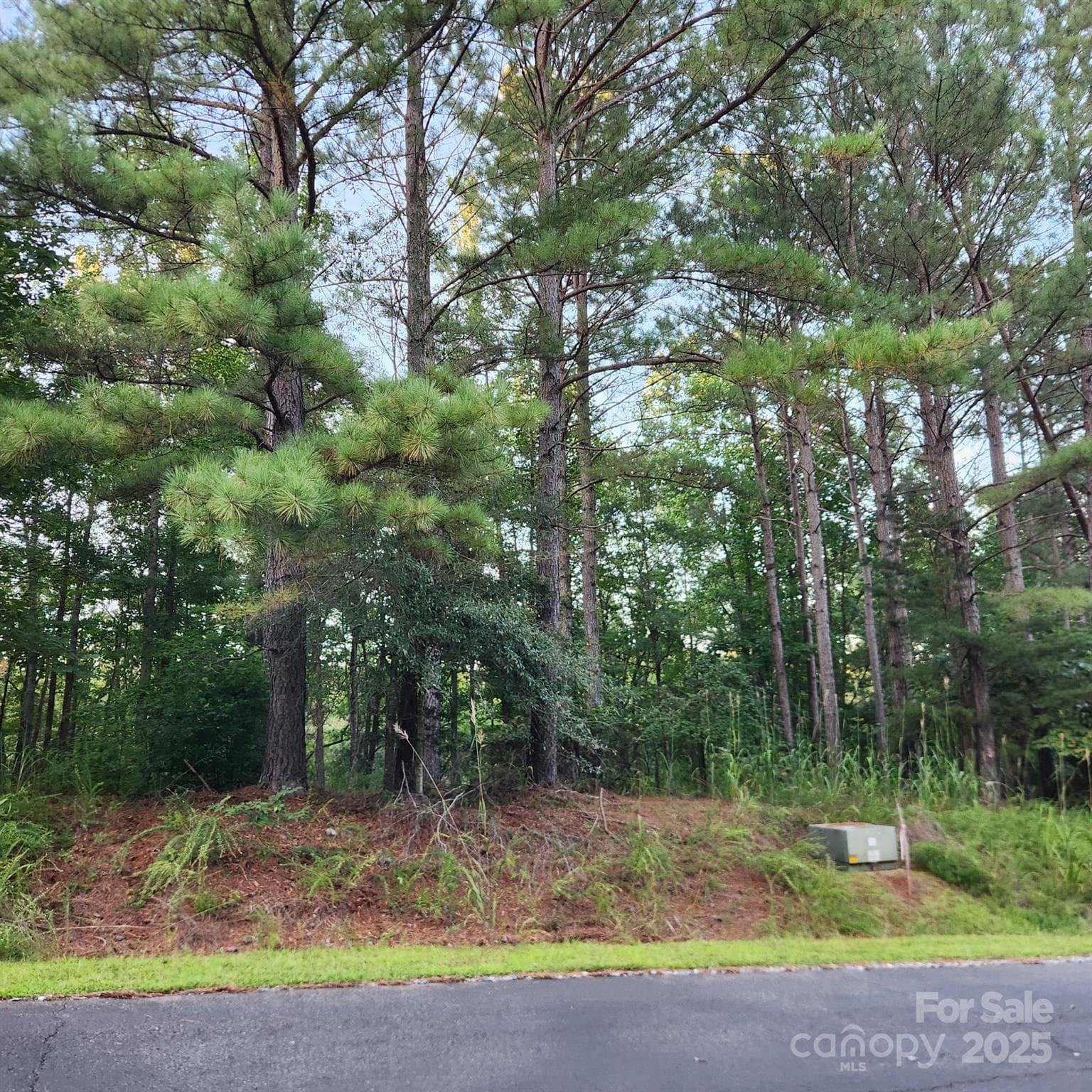 Lot at 115 Scenic Ridge Drive, Mooresboro, photo 4 of 9