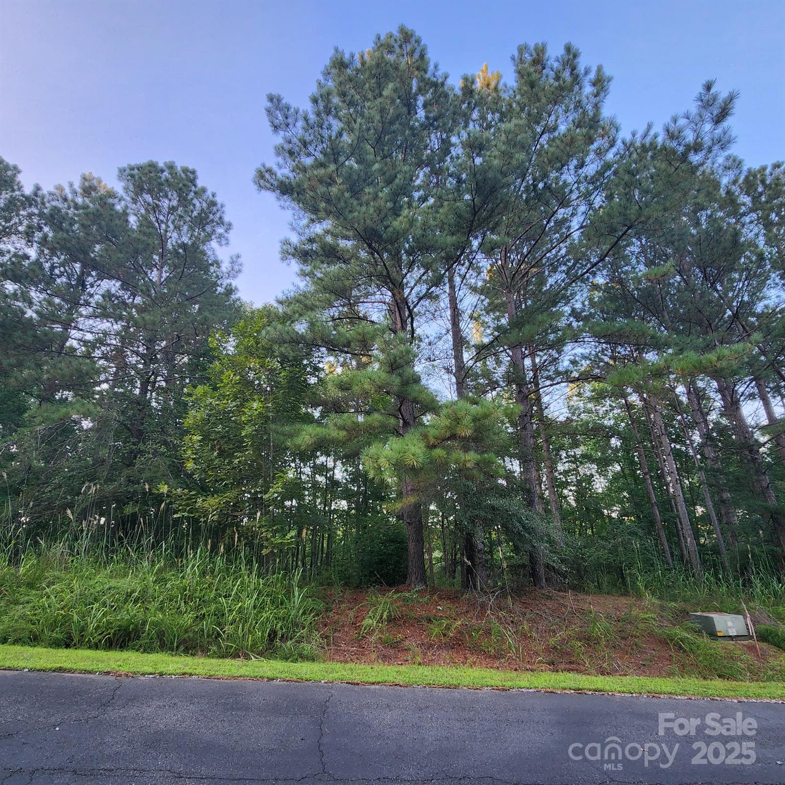 Lot at 115 Scenic Ridge Drive, Mooresboro, photo 5 of 9
