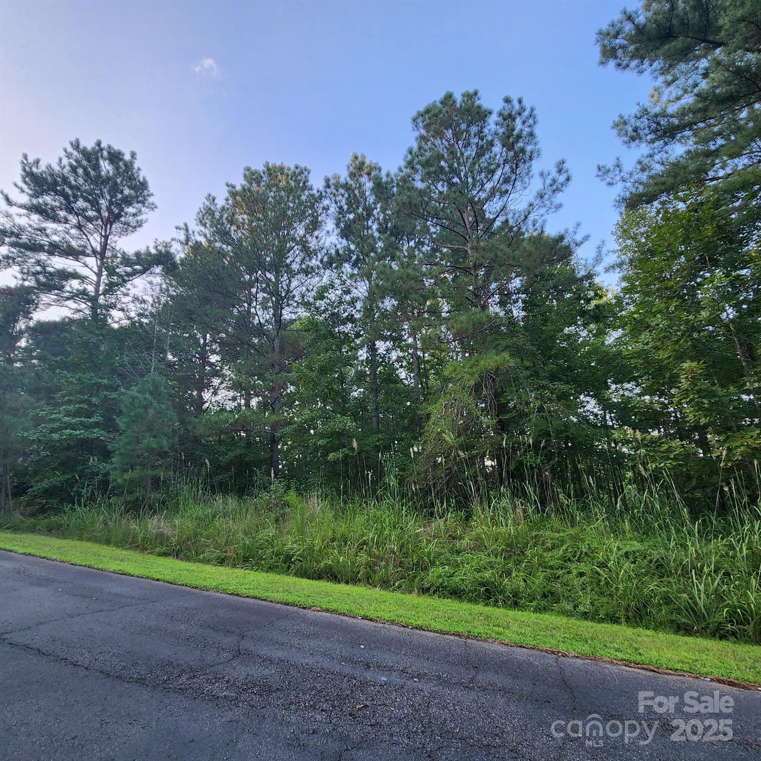 Lot at 115 Scenic Ridge Drive, Mooresboro, photo 6 of 9