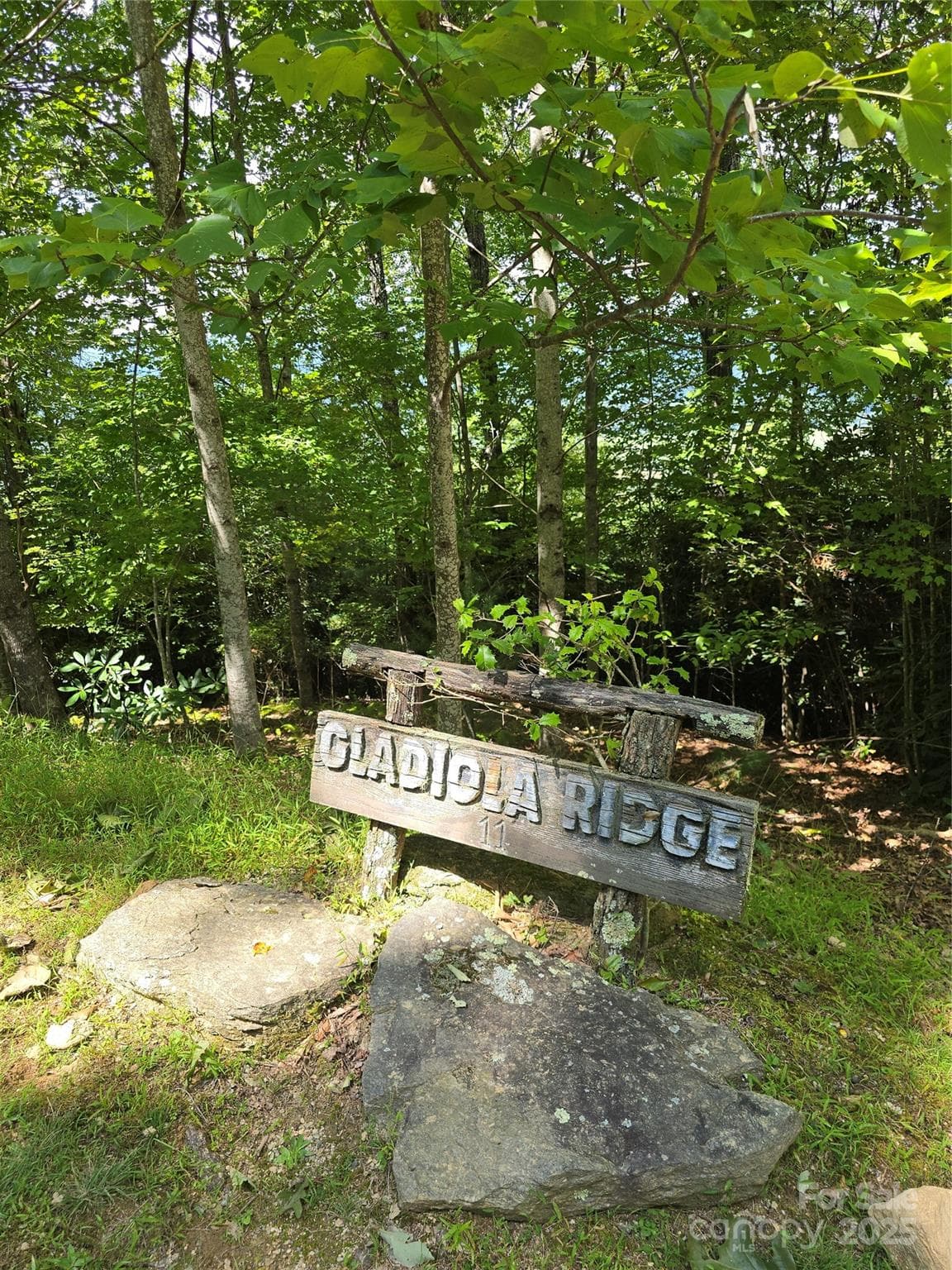 Each property in The Reserve Community cannot be less than 10 acres. Each property has it's own name. This property is called Gladiola Ridge. - 11 Reserve Road, Pisgah Forest