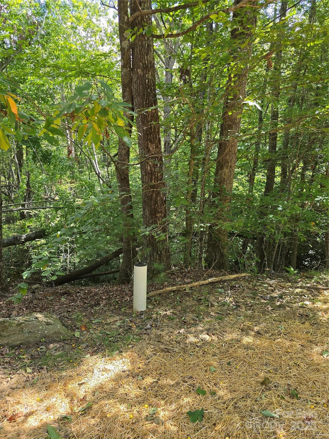The property has a water well already installed. - 11 Reserve Road, Pisgah Forest