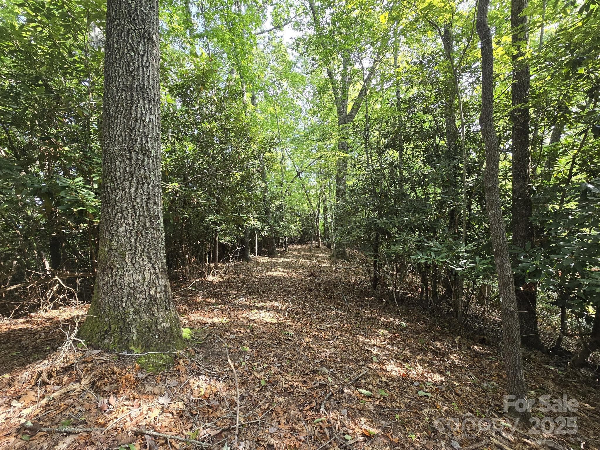 Check out this beautiful, level building site on the ridge. - 11 Reserve Road, Pisgah Forest