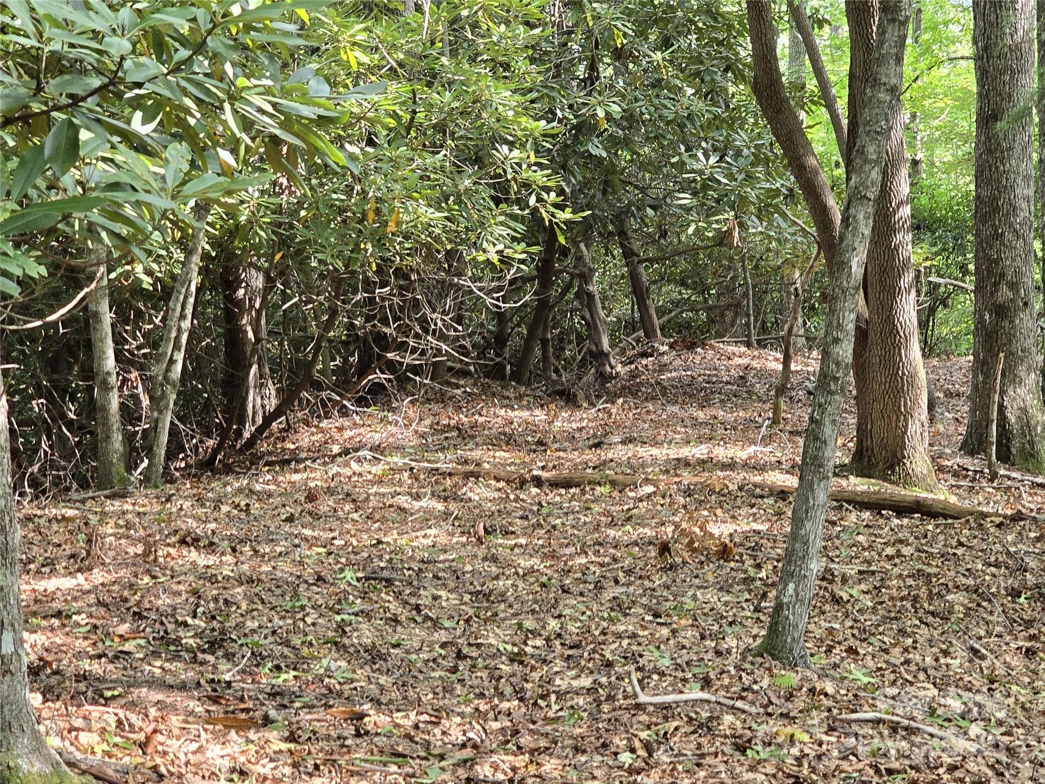 The property has been approved by the county for a 4-bedroom septic system. - 11 Reserve Road, Pisgah Forest