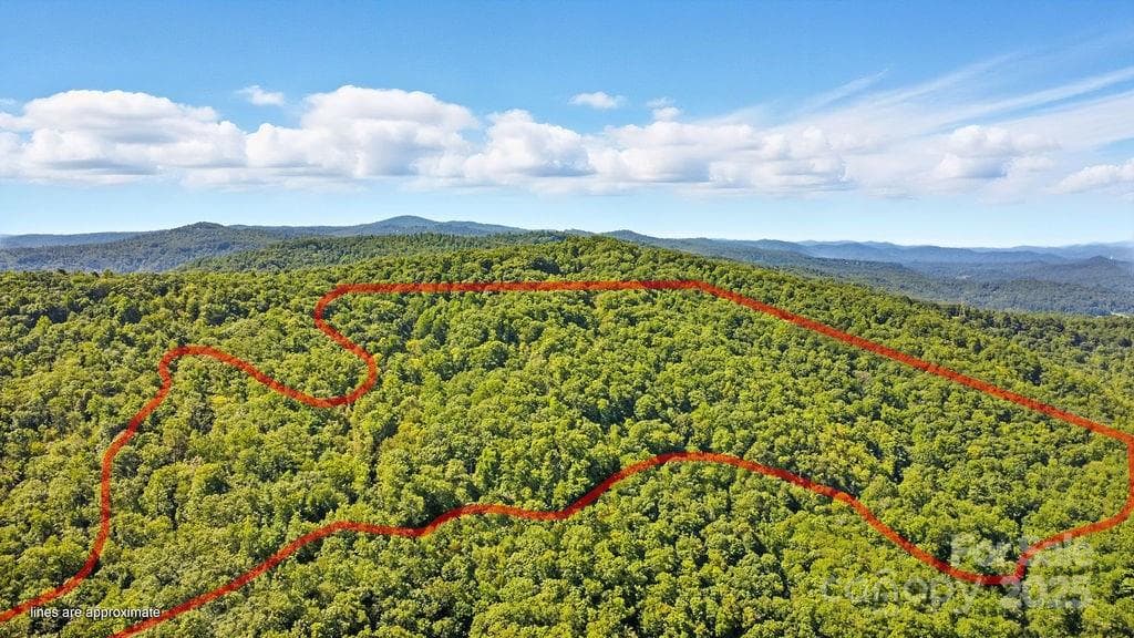 Anther view of the property lines (approximate) - 11 Reserve Road, Pisgah Forest