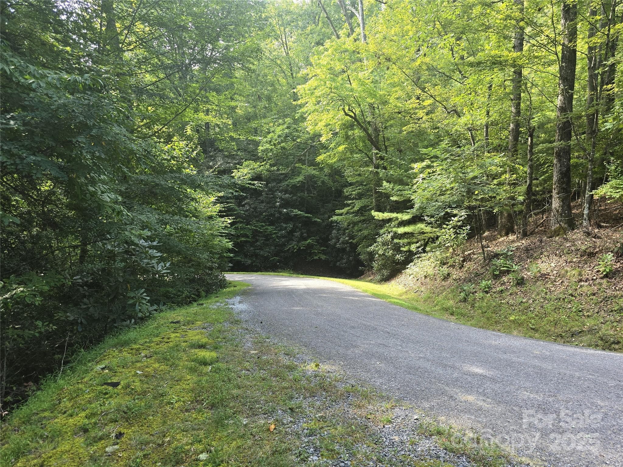 This is looking from the building site to the south on the roadside. - 11 Reserve Road, Pisgah Forest