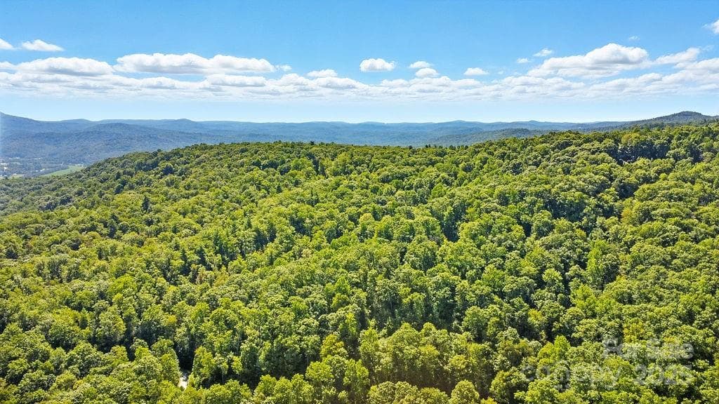 Acreage at 11 Reserve Road, Pisgah Forest, photo 26 of 38
