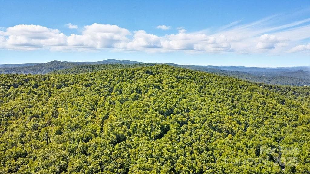 Acreage at 11 Reserve Road, Pisgah Forest, photo 27 of 38