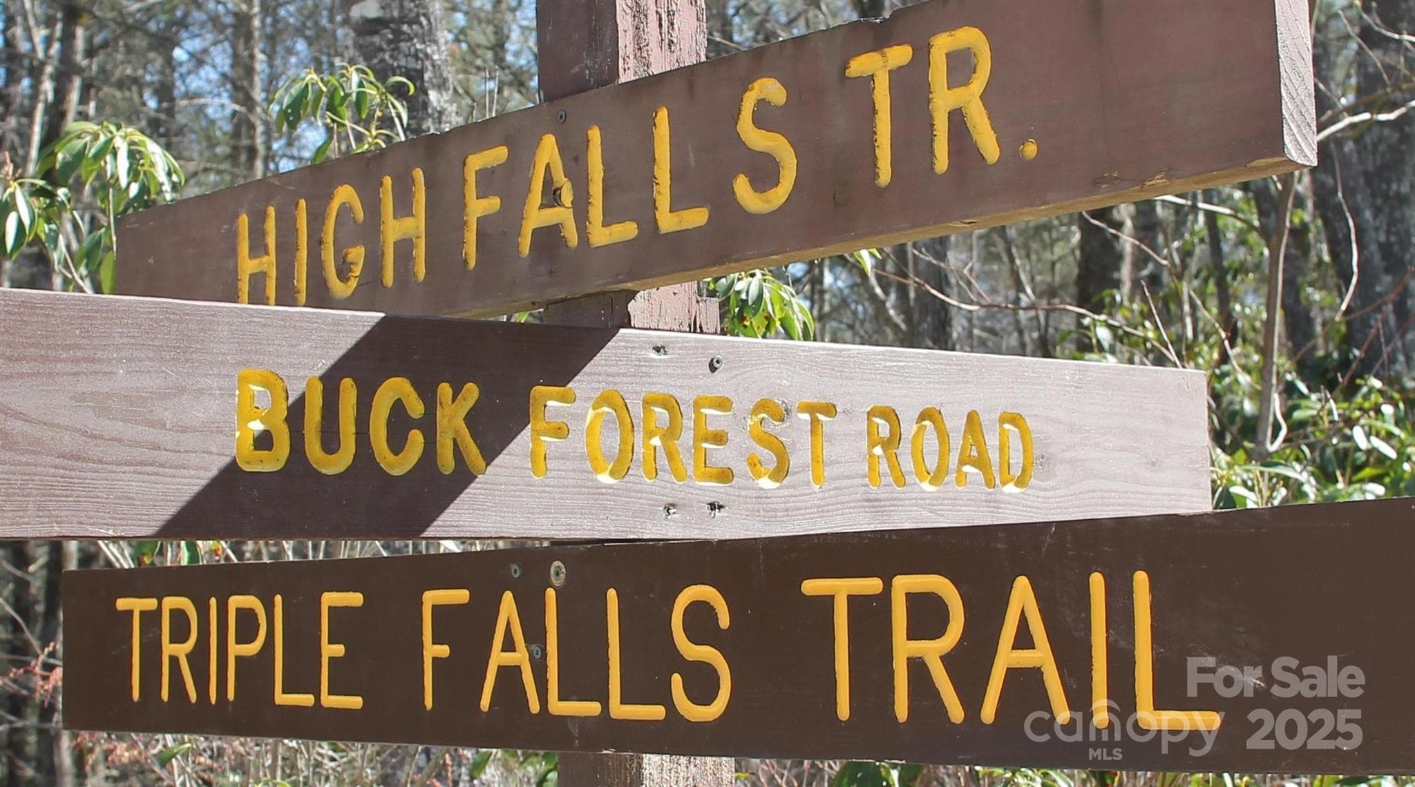 Lots of outdoor opportunities at DuPont State Forest. - 11 Reserve Road, Pisgah Forest