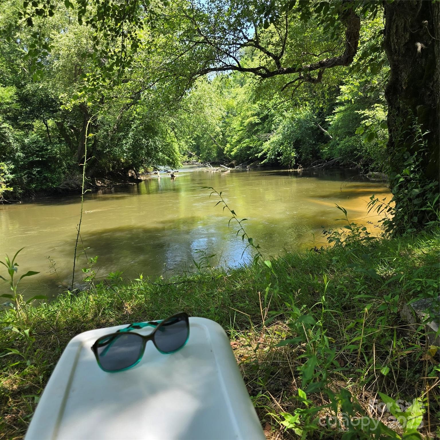 Take a paddle trip or fish on the French Broad River. There are two nearby accesses. - 11 Reserve Road, Pisgah Forest