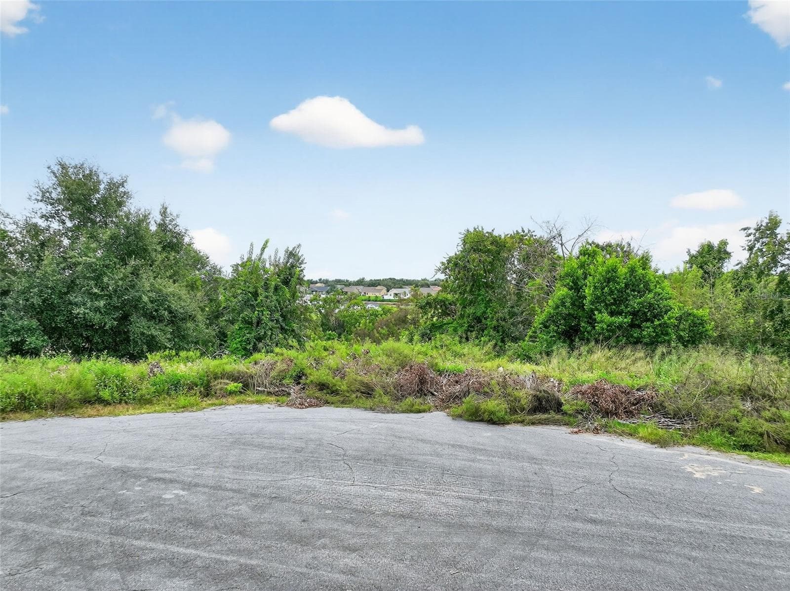 Land at TBD KANUBA CT, CLERMONT, photo 3 of 13