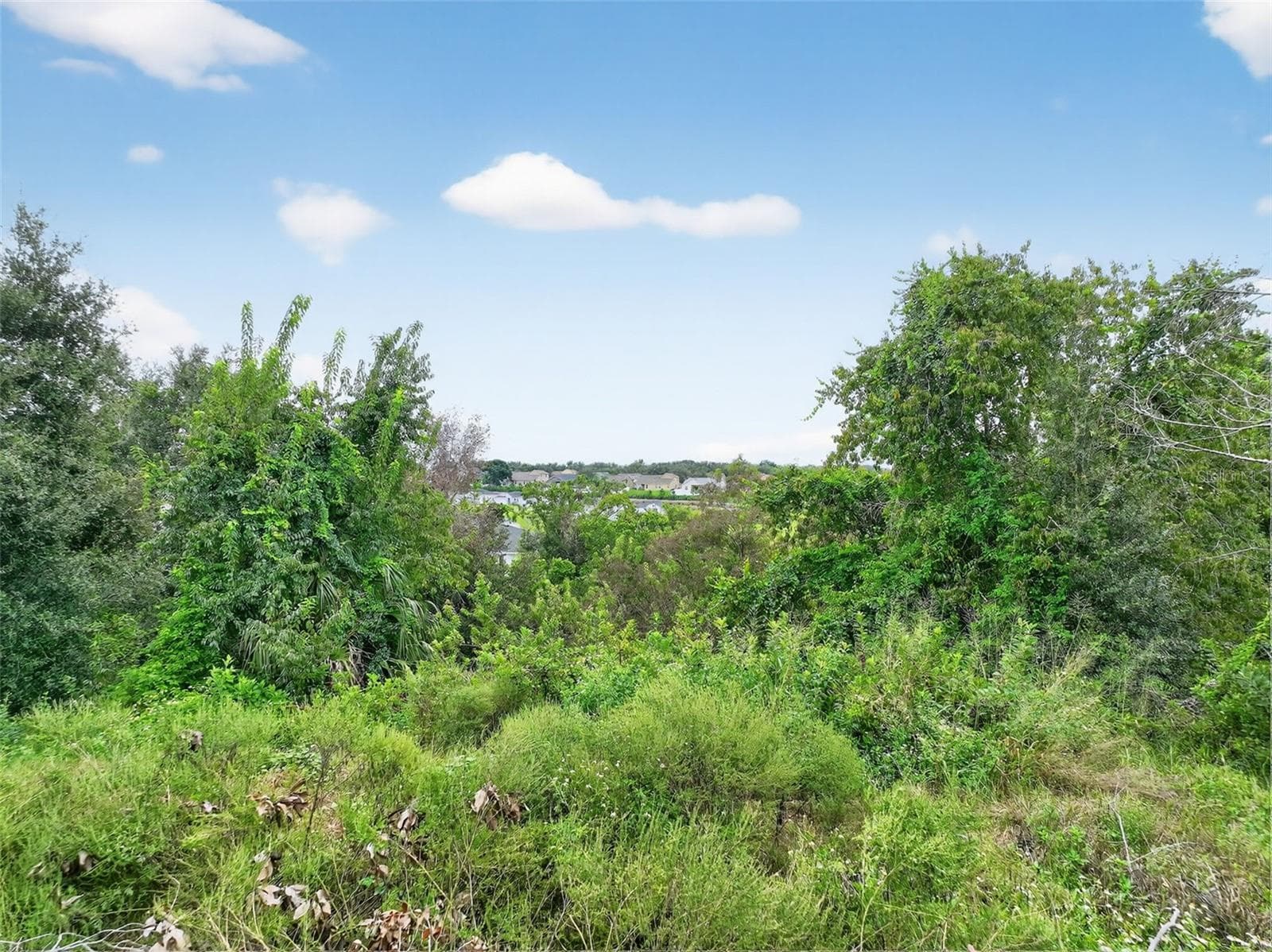 Land at TBD KANUBA CT, CLERMONT, photo 11 of 13
