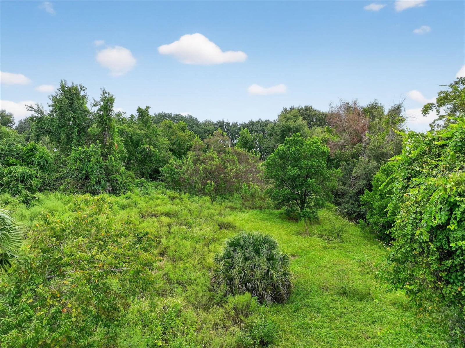 Land at TBD KANUBA CT, CLERMONT, photo 12 of 13