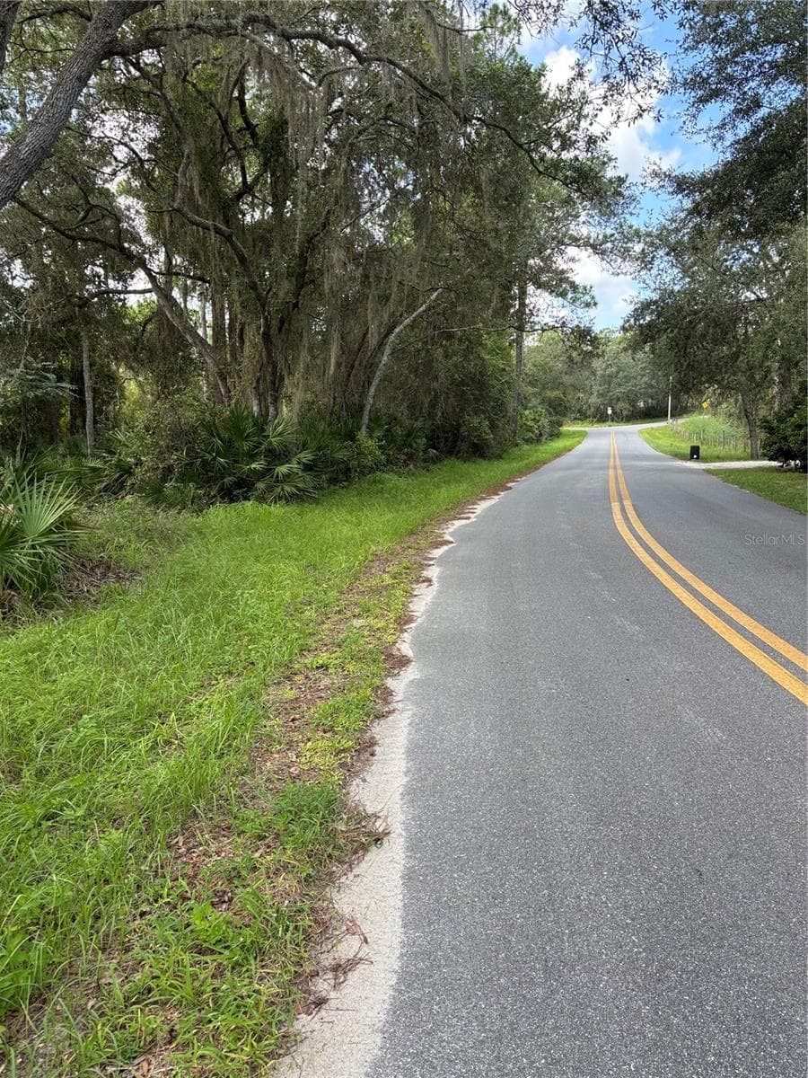 246 BROWNS HAMMOCK RD