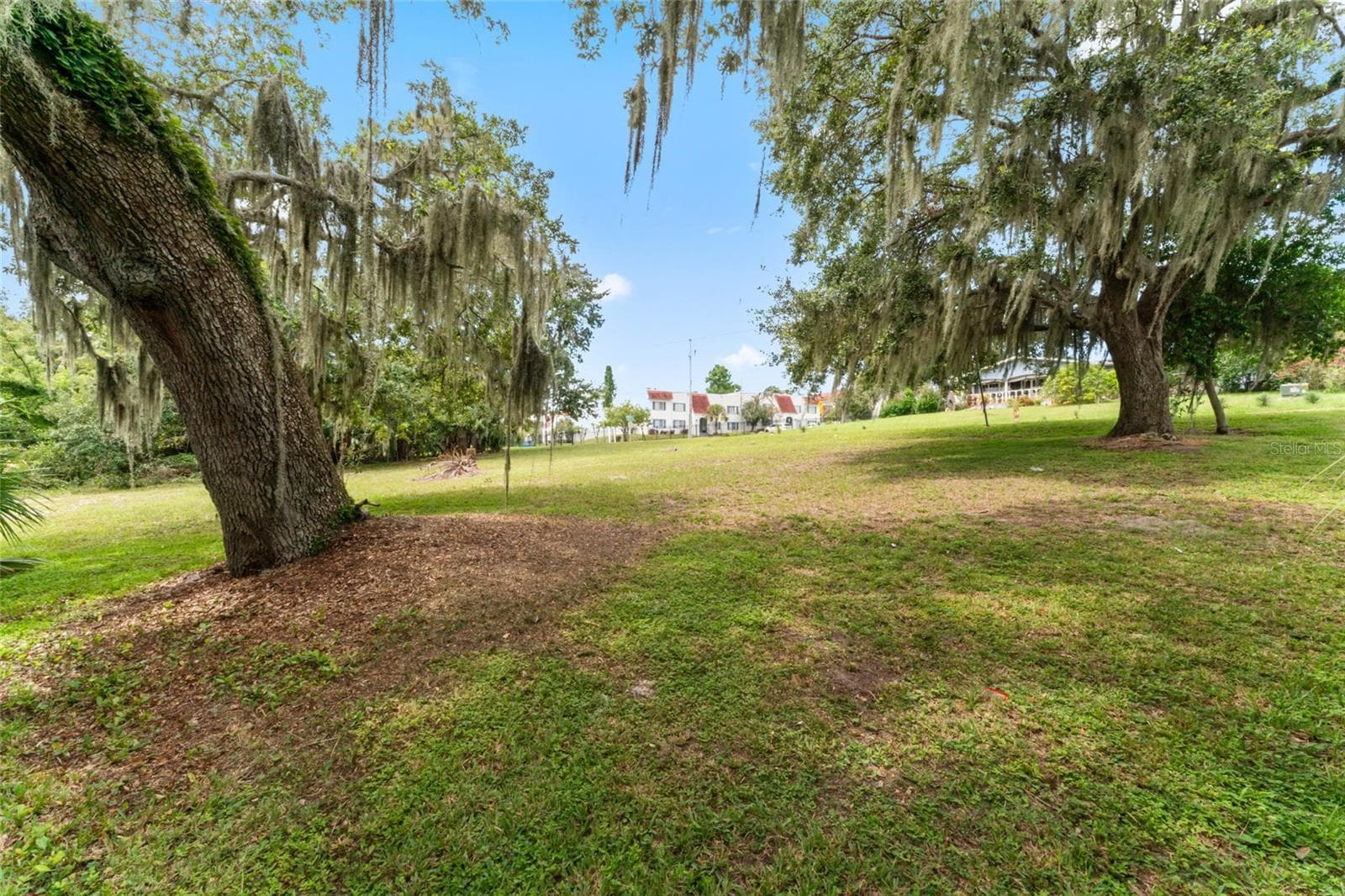 Land at 0 RIVERHILLS DR, TEMPLE TERRACE, photo 3 of 23
