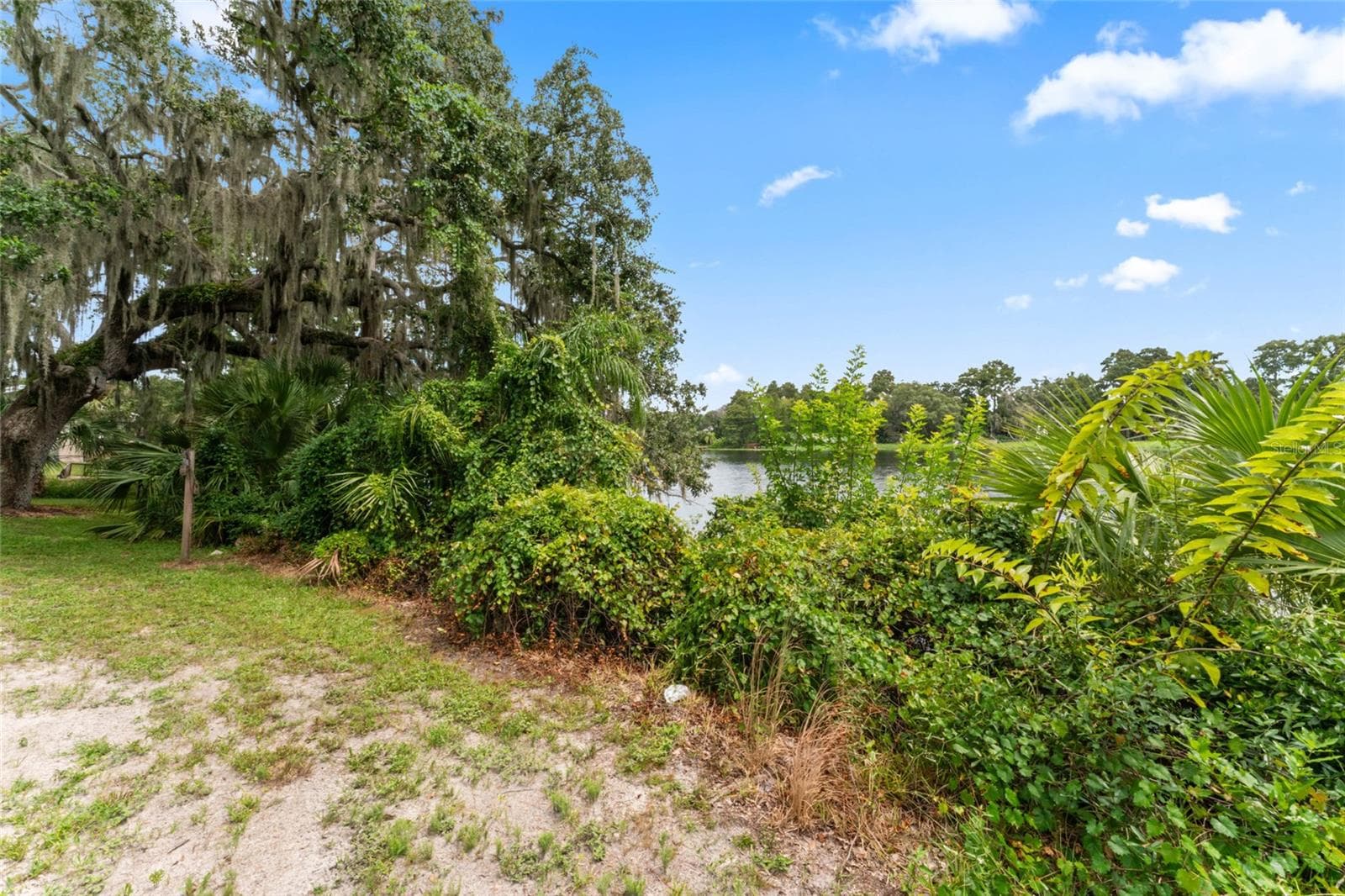 Land at 0 RIVERHILLS DR, TEMPLE TERRACE, photo 9 of 23