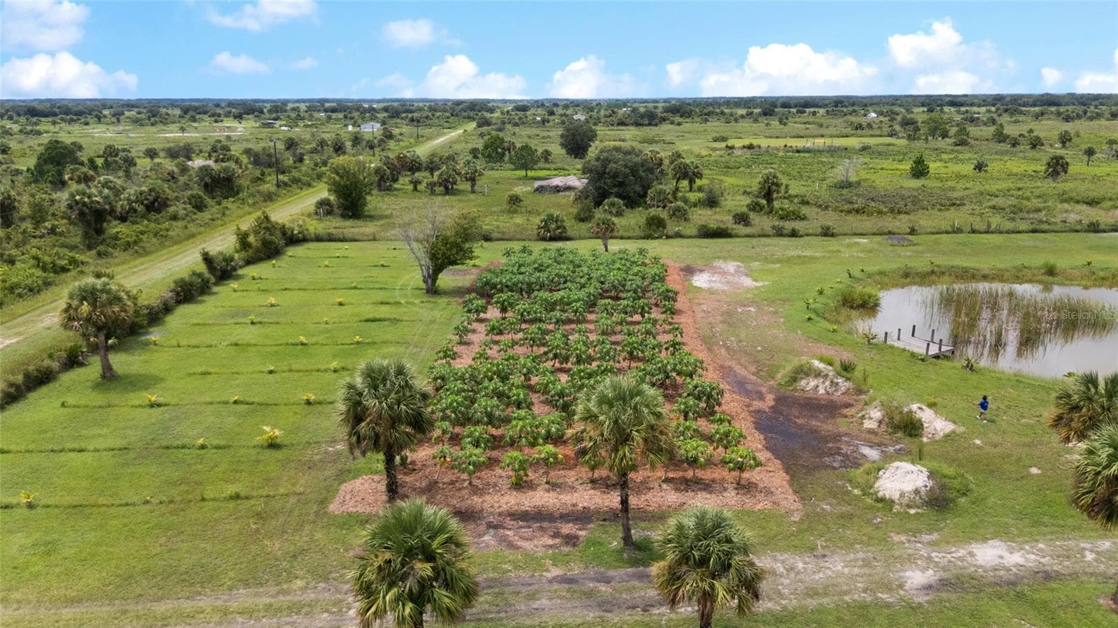 Land at 20914 NW 280TH ST, OKEECHOBEE, photo 13 of 44