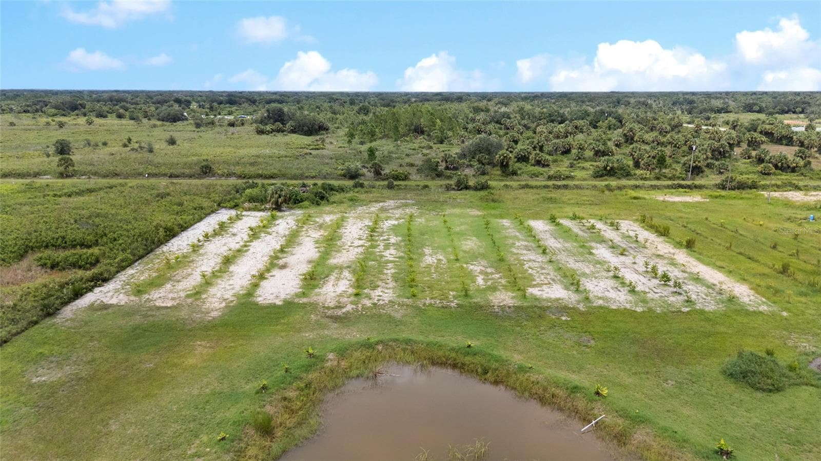 Land at 20914 NW 280TH ST, OKEECHOBEE, photo 14 of 44