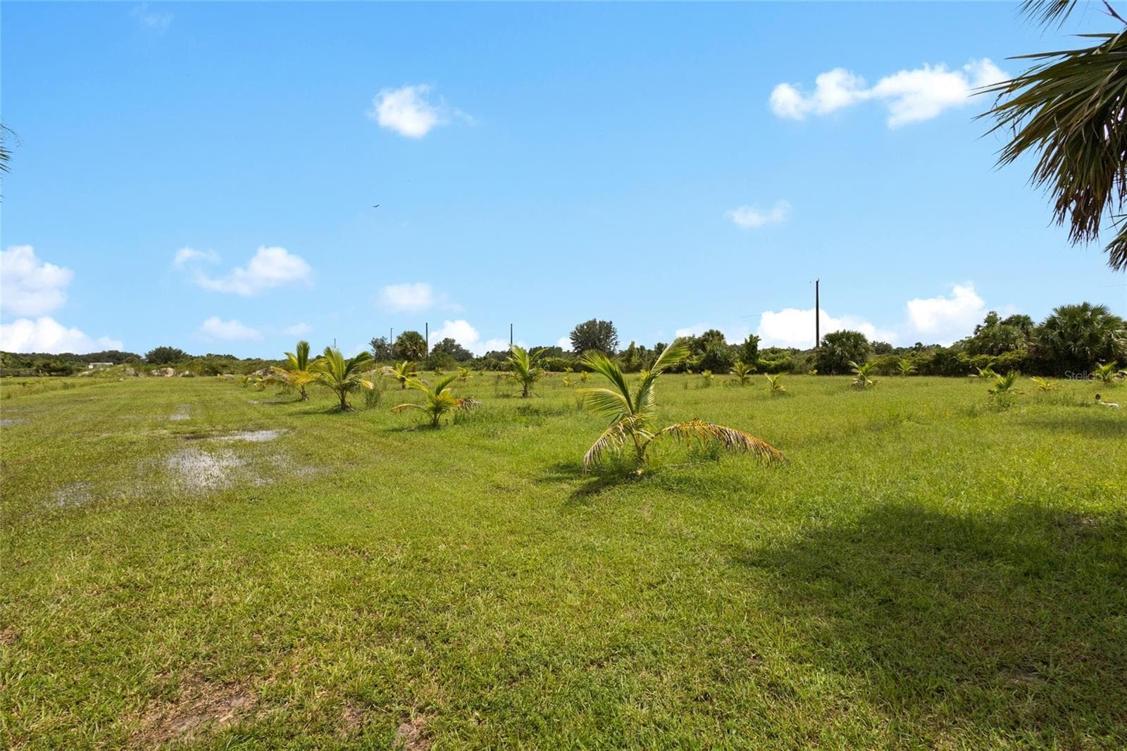 Land at 20914 NW 280TH ST, OKEECHOBEE, photo 19 of 44