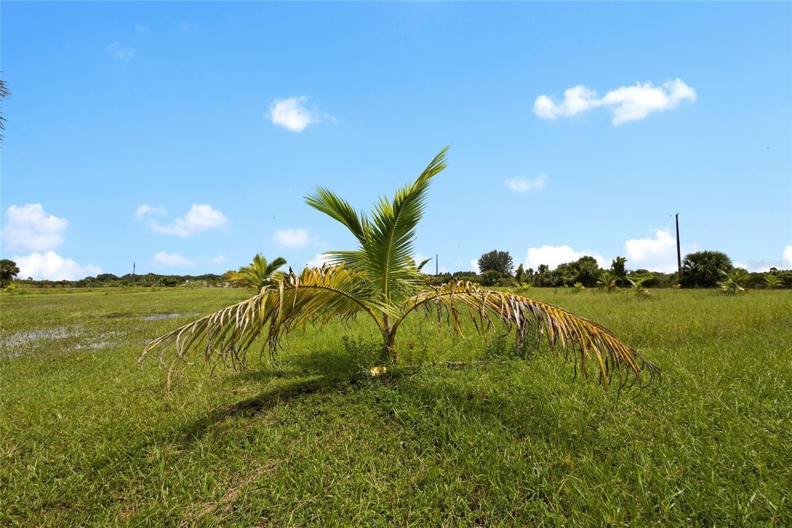 Land at 20914 NW 280TH ST, OKEECHOBEE, photo 20 of 44
