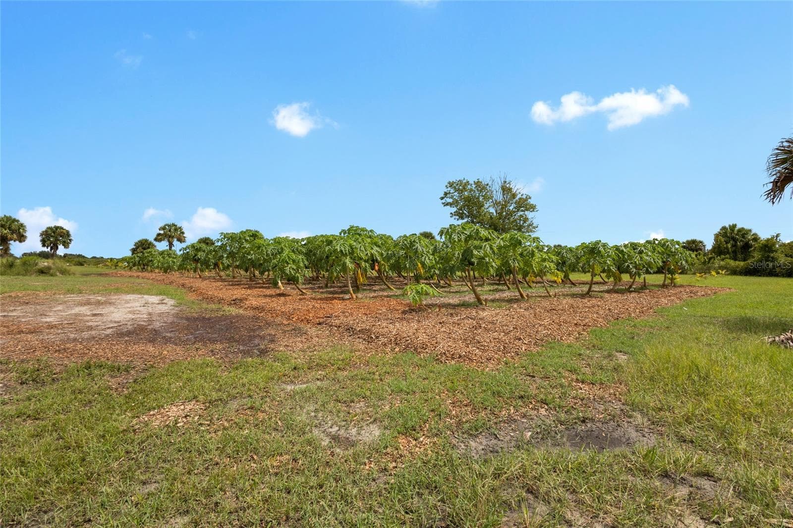 Land at 20914 NW 280TH ST, OKEECHOBEE, photo 27 of 44