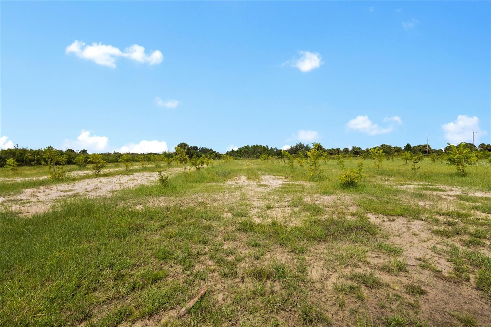Land at 20914 NW 280TH ST, OKEECHOBEE, photo 29 of 44