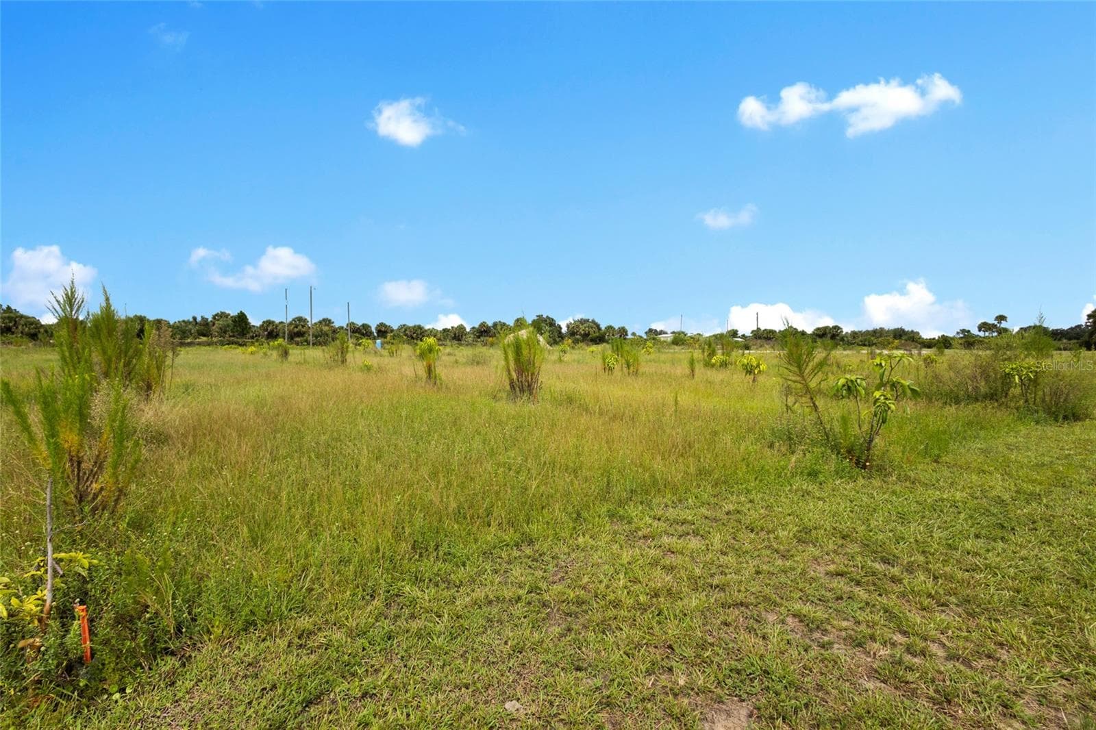 Land at 20914 NW 280TH ST, OKEECHOBEE, photo 33 of 44