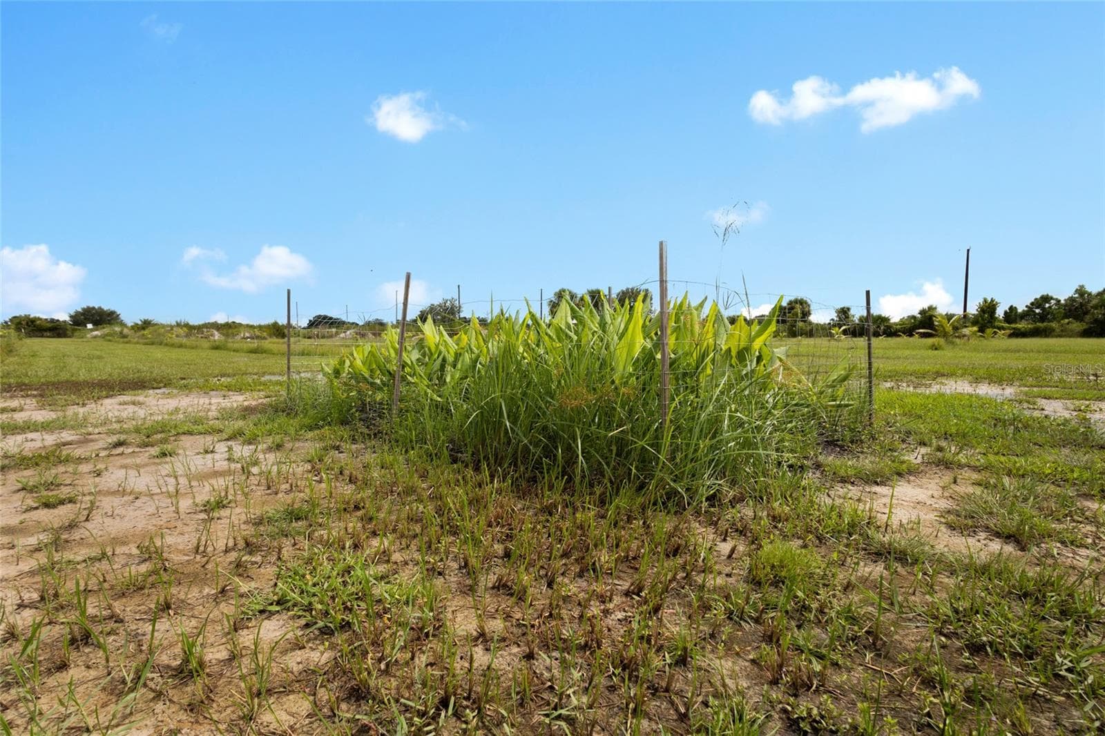 Land at 20914 NW 280TH ST, OKEECHOBEE, photo 35 of 44