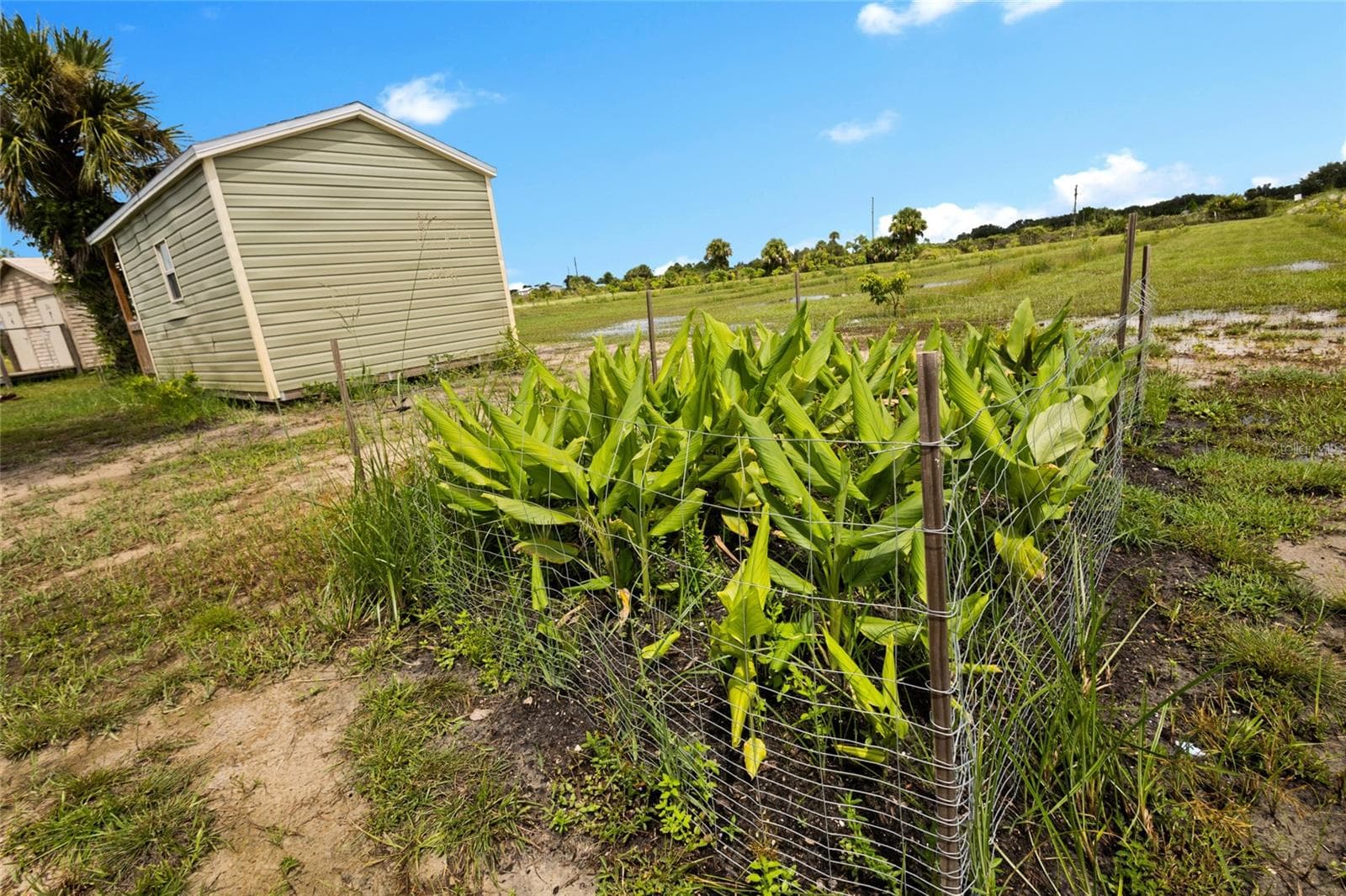 Land at 20914 NW 280TH ST, OKEECHOBEE, photo 36 of 44