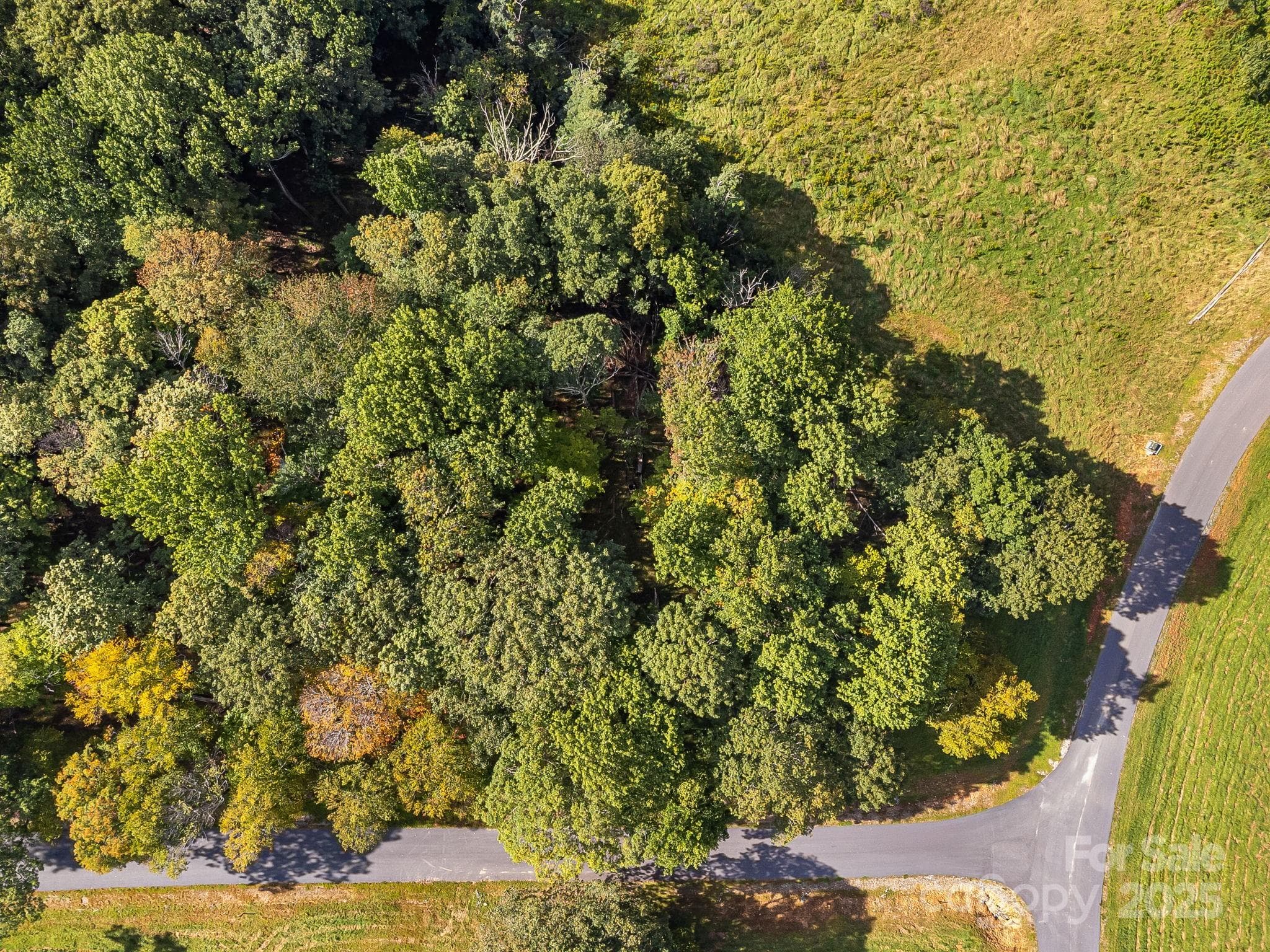 Lot at #62 Poplar Forest Drive, Boone, photo 16 of 27