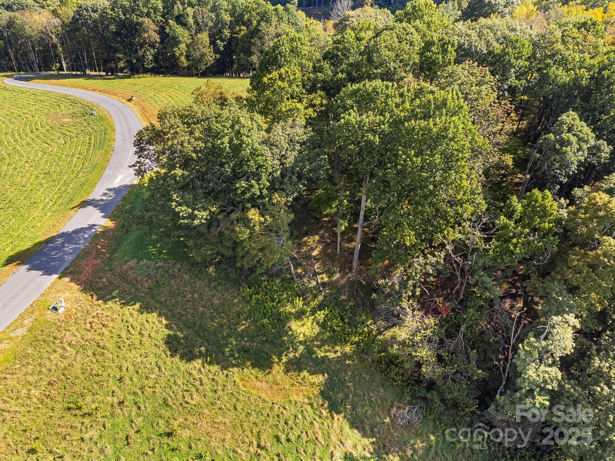 Lot at #62 Poplar Forest Drive, Boone, photo 19 of 27