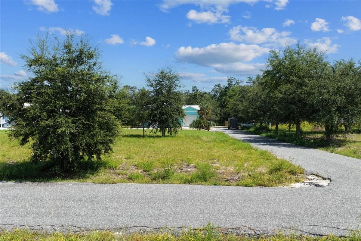Land at 0 SW 869TH LOOP, STEINHATCHEE, photo 2 of 14