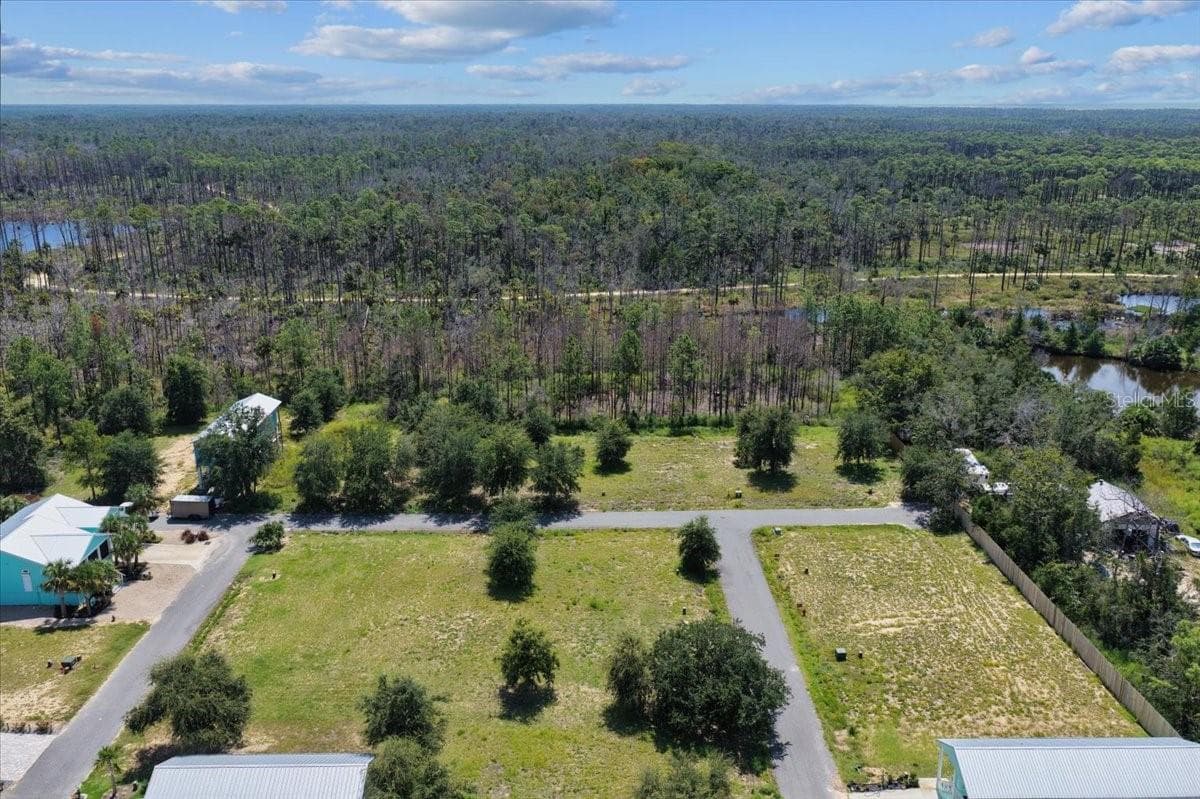 Land at 000 869TH LOOP, STEINHATCHEE, photo 12 of 14