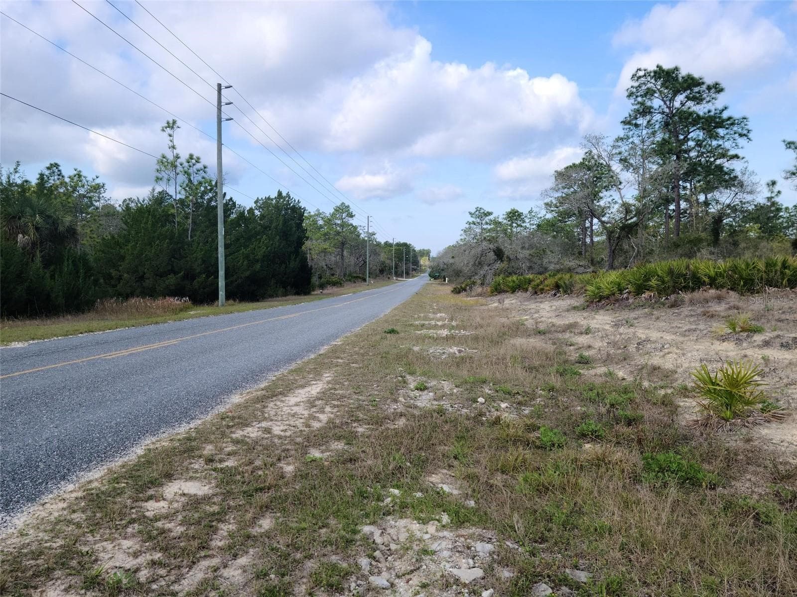 Land at 12121 THRASHER AVE, WEEKI WACHEE, photo 4 of 6