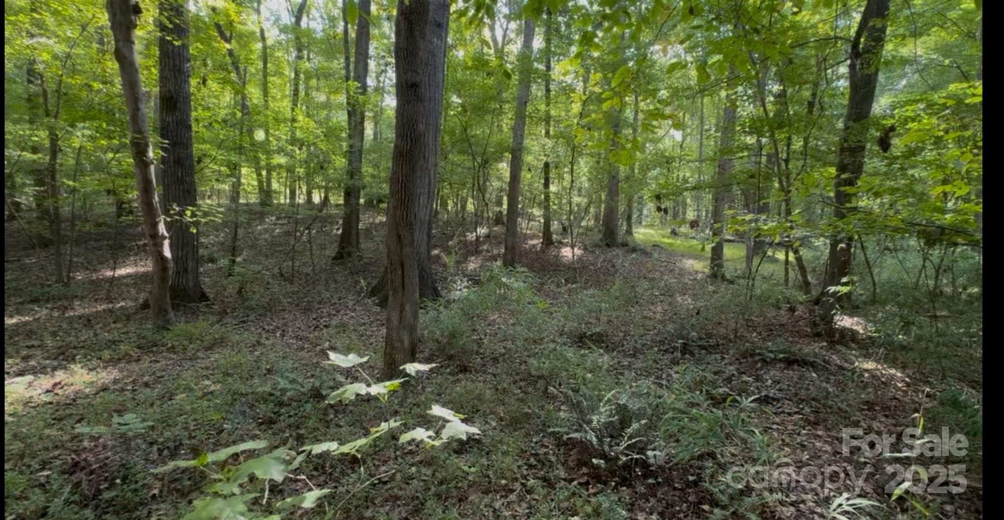 Level Property - Waxhaw