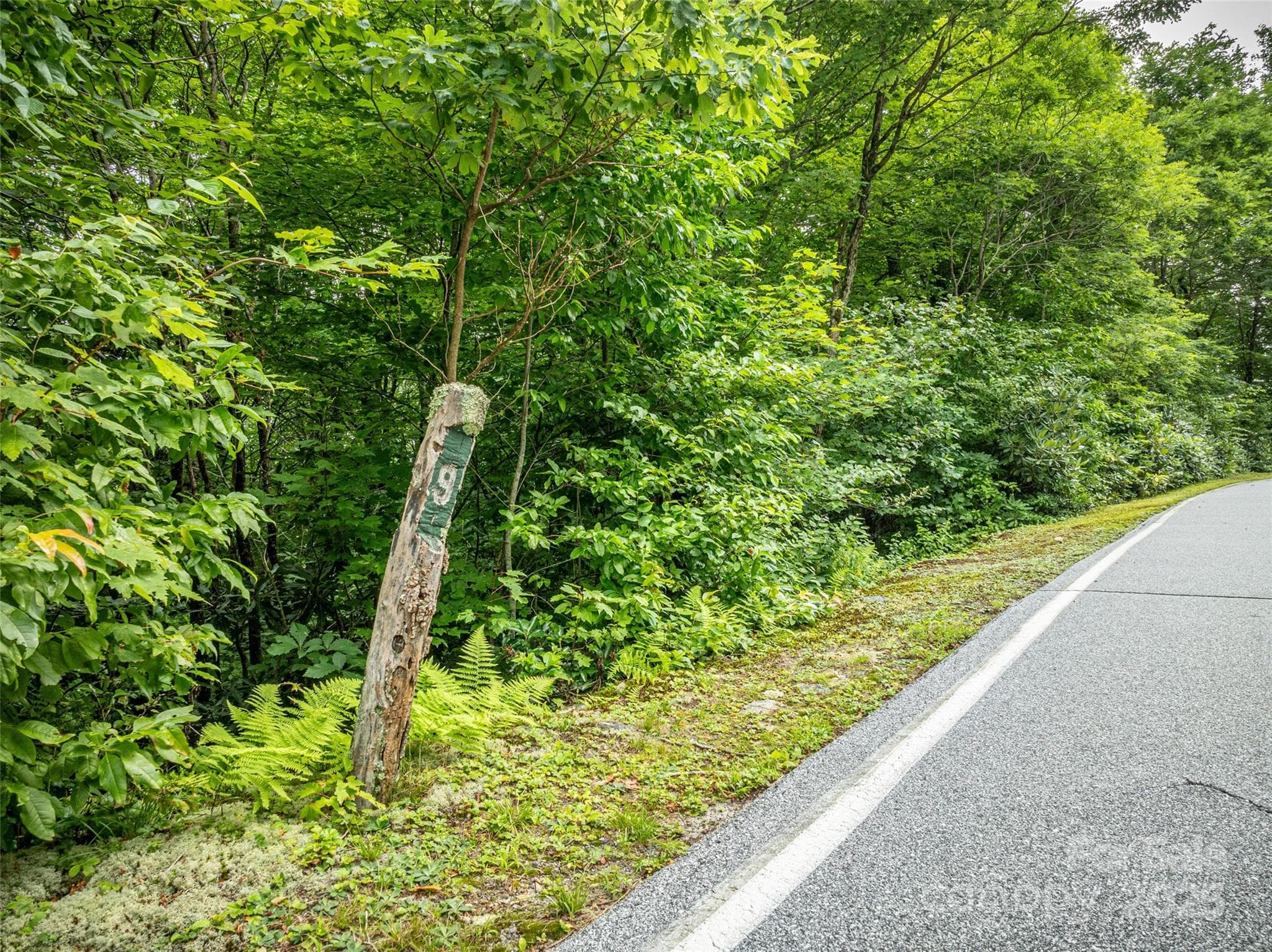 Lot at 000 Meadow Ridge Drive, Lake Toxaway, photo 2 of 10