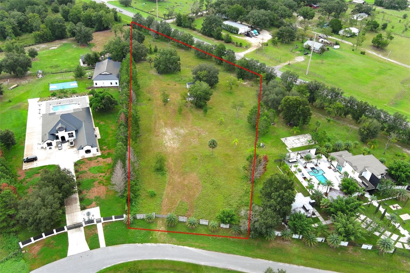 34534 TREE FROG LN