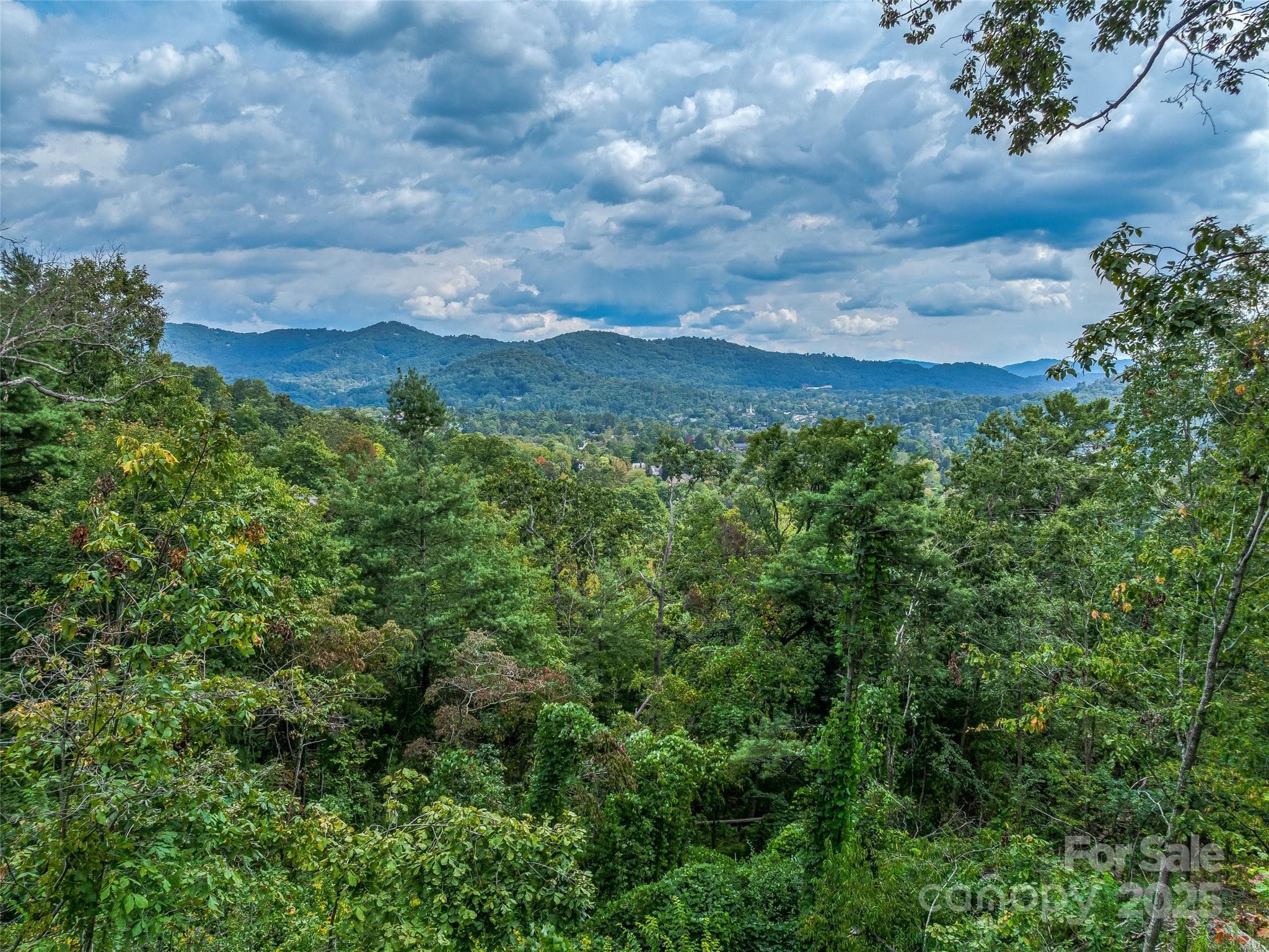 Mature trees with long range mountain views - Asheville