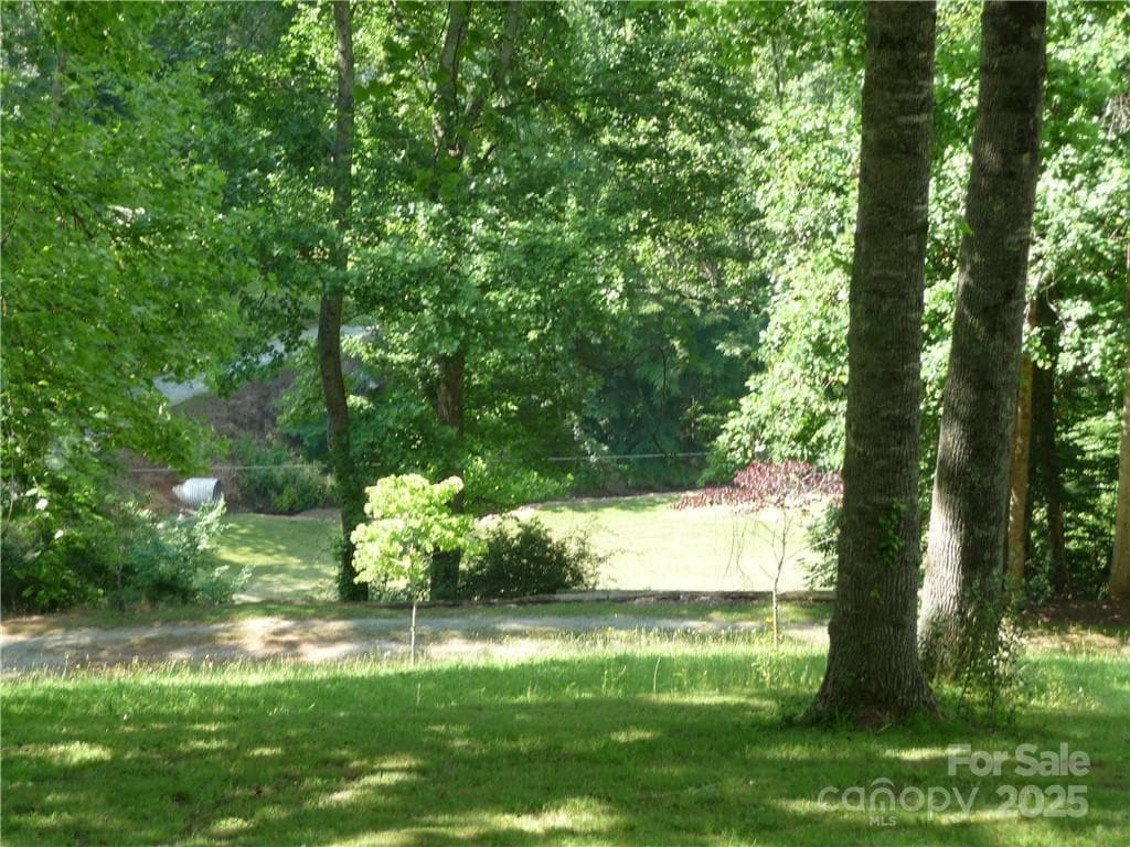 Acreage at 0 Joe Shoemaker Road, Vilas, photo 3 of 42