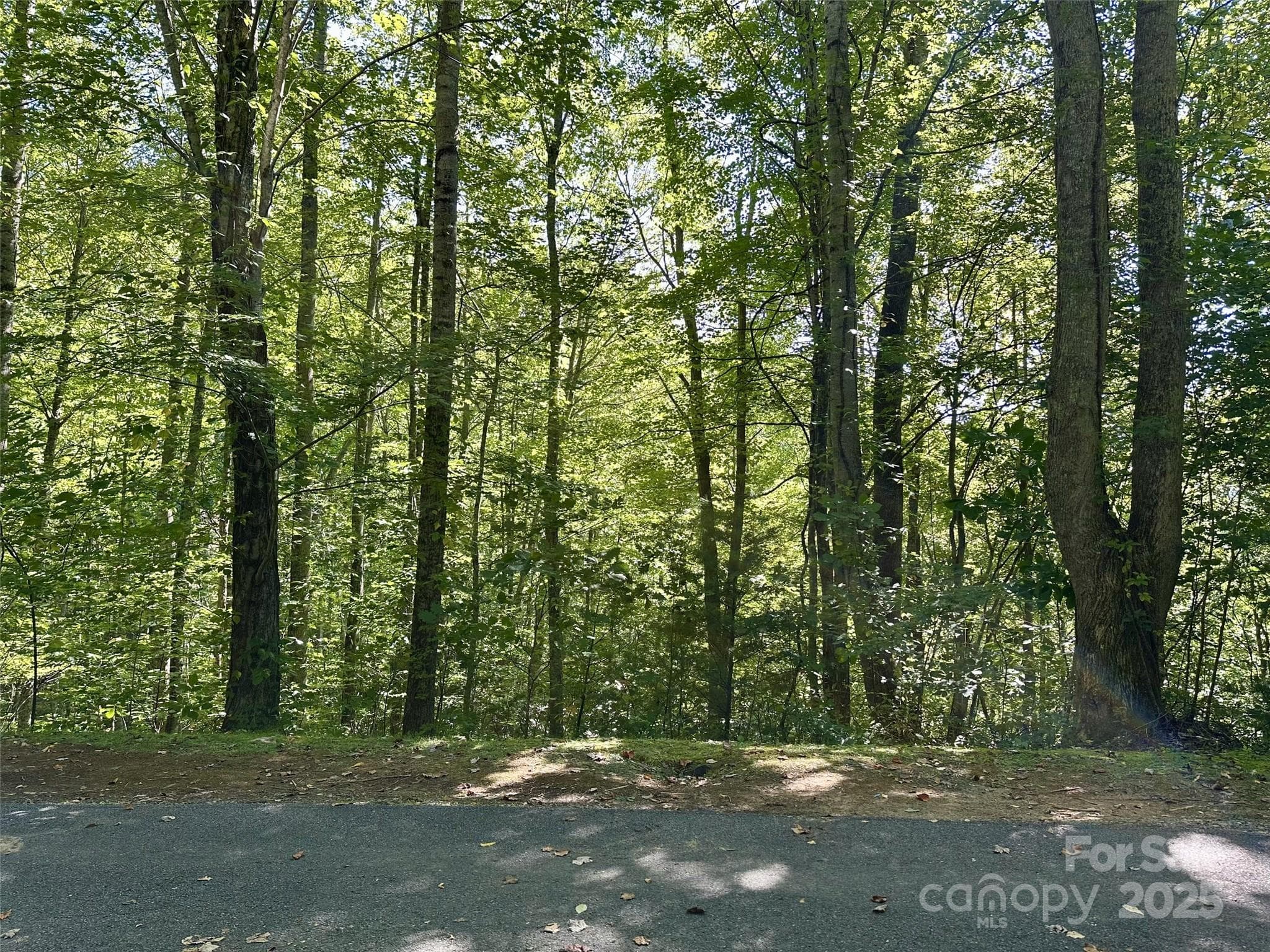 Lot at Maggie Valley, photo 2 of 9