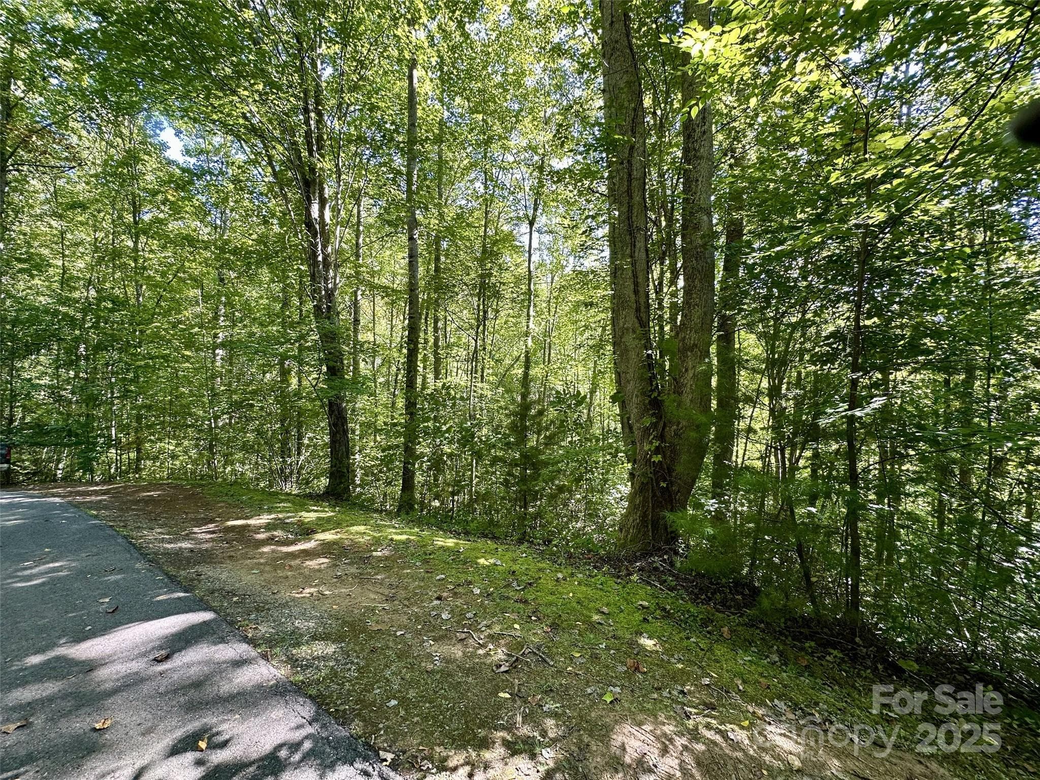 Lot at Maggie Valley, photo 3 of 9