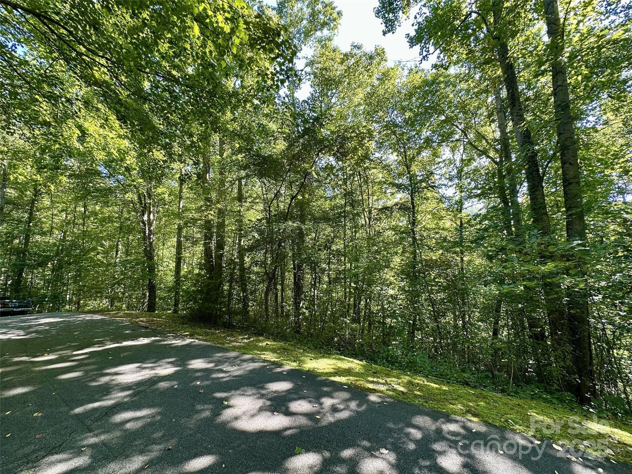 Lot at Maggie Valley, photo 4 of 9