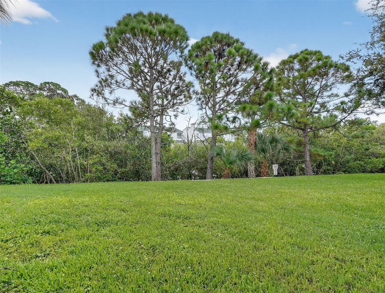 Expansive greenspace directly behind the home - 14879 SEMINOLE TRL, SEMINOLE