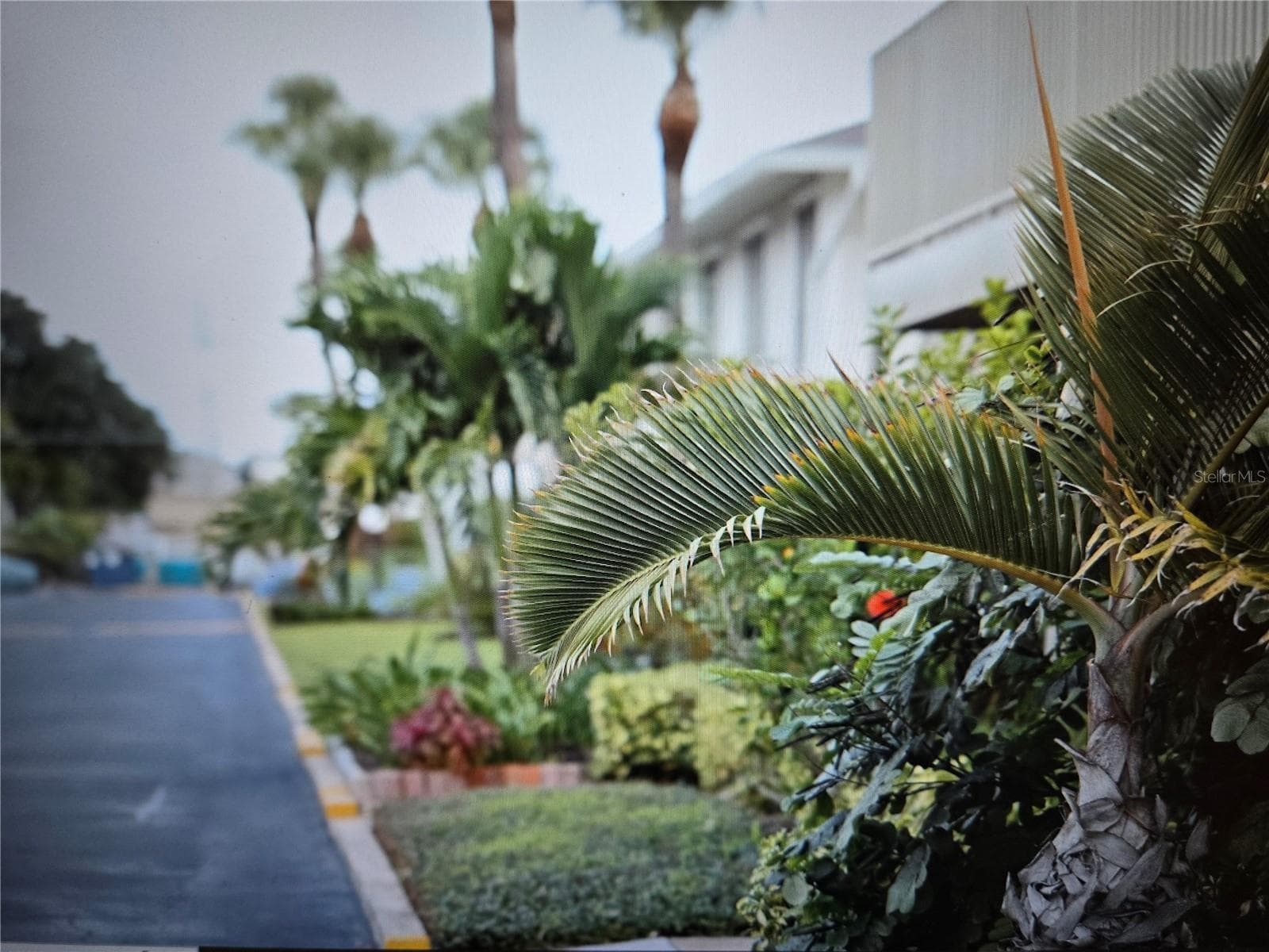 Condominium at 1935 CONWAY DR #05, ORLANDO, photo 13 of 36