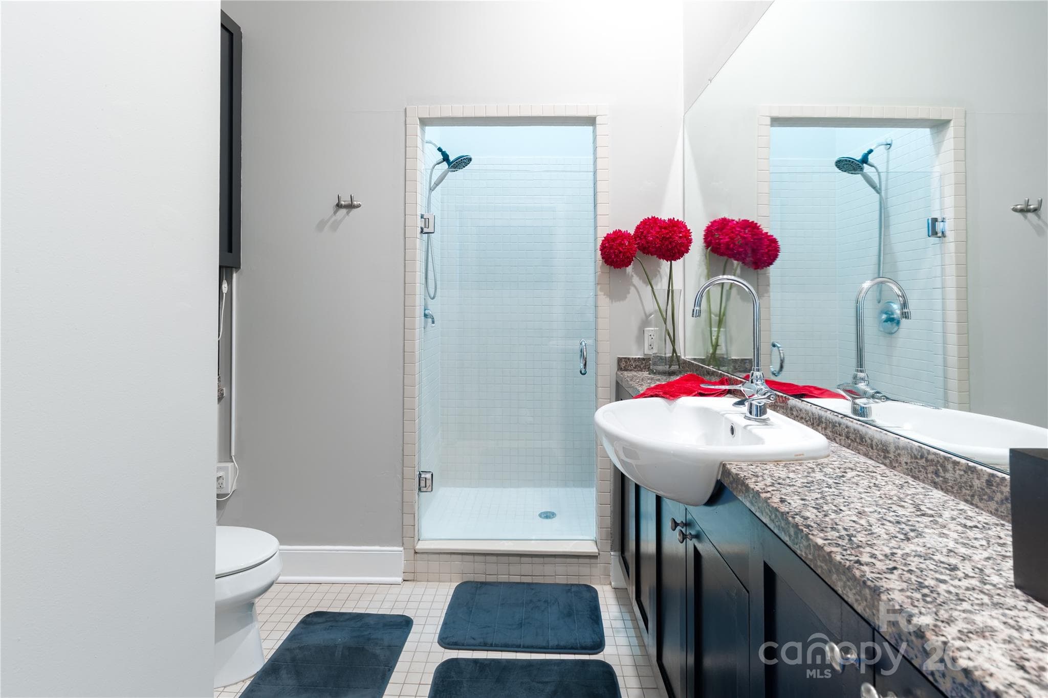 Condominium at 710 W Trade Street, Charlotte, photo 12 of 32